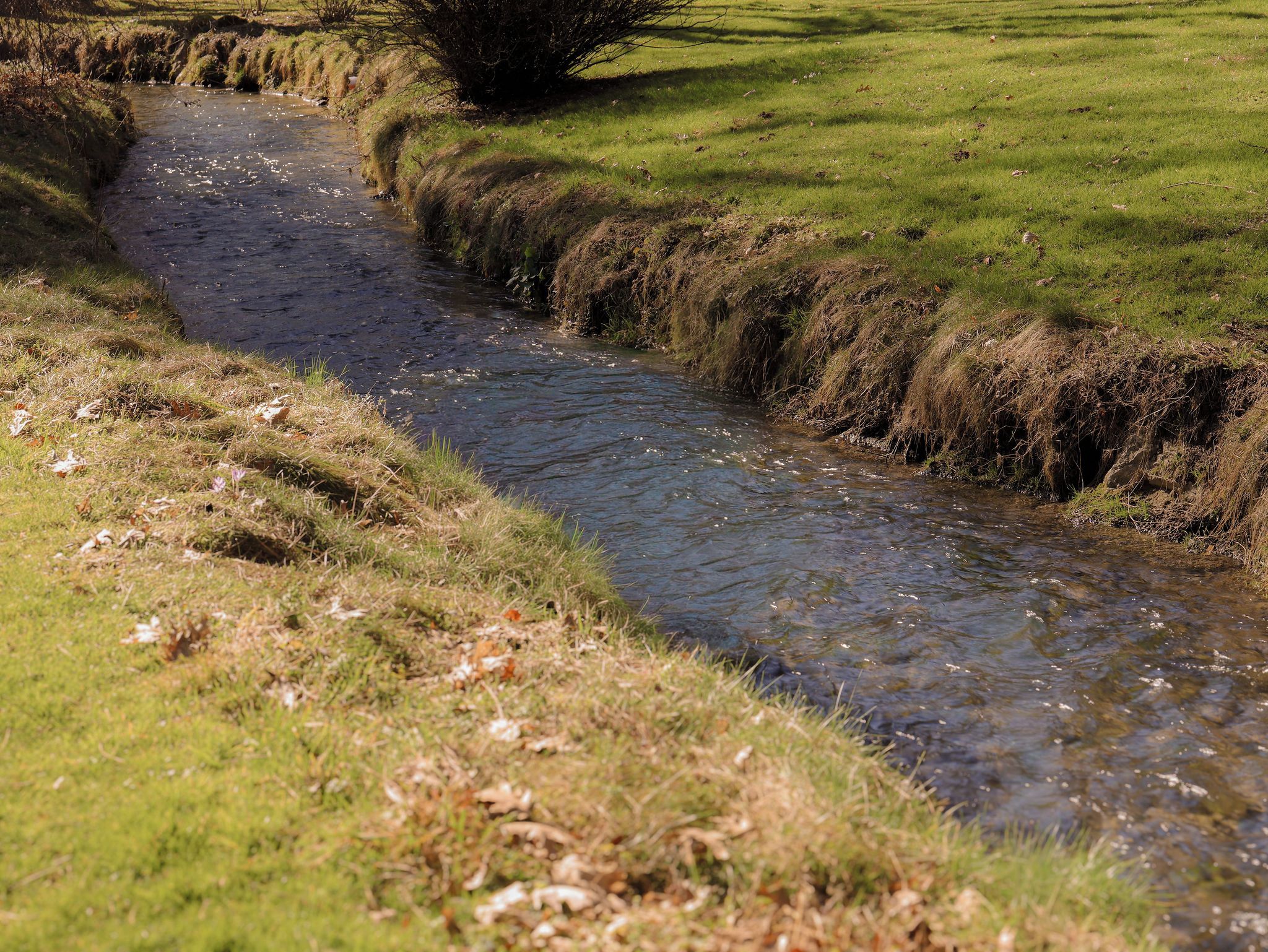 A narrow water channel with grassy banks, surrounded by a grassy field.
