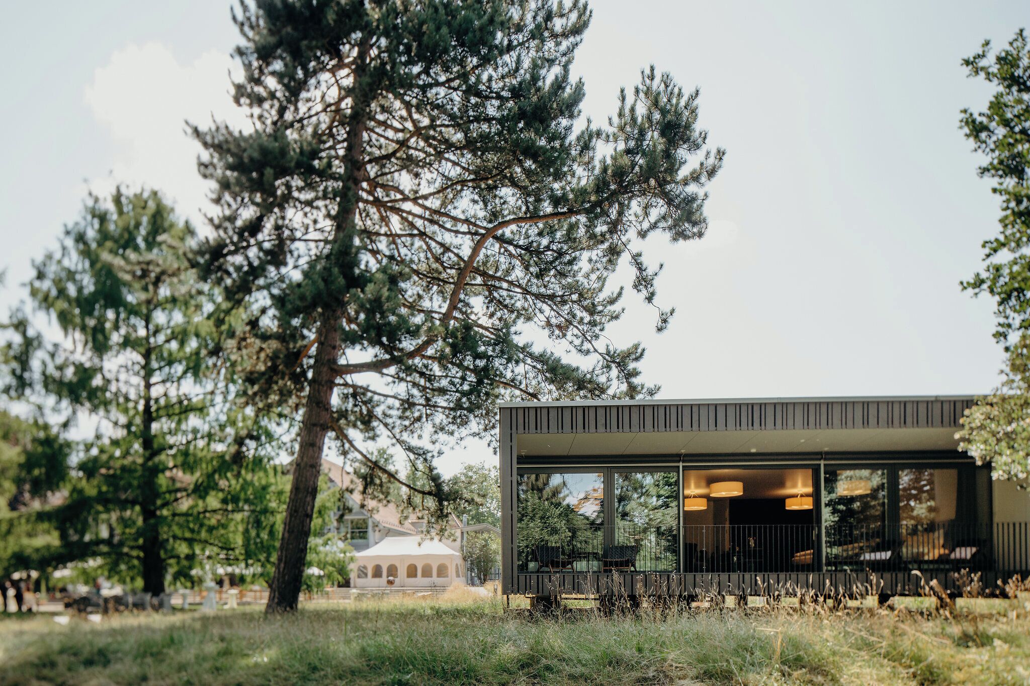 Un bâtiment moderne doté de grandes fenêtres et d’un toit plat, entouré d’arbres et d’herbe.