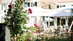 A garden with a climbing rose archway, outdoor seating, and a building with a tiled roof in the background. - Schloss Huenigen (Konolfingen)