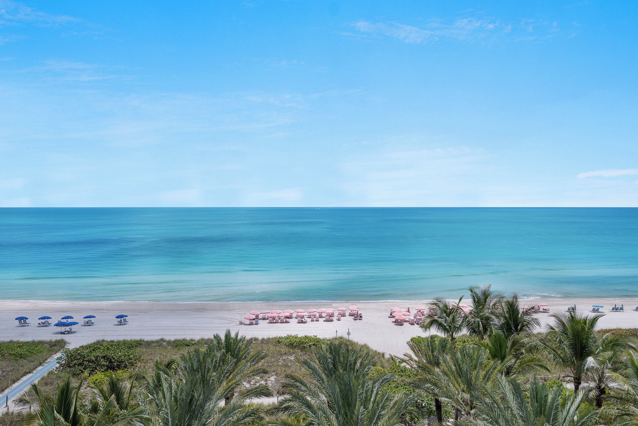 A beach with rows of umbrellas and lounge chairs, palm trees, and a clear view of the ocean.