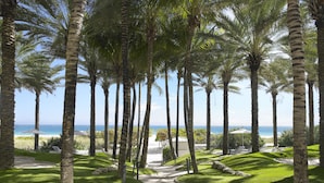 A pathway lined with palm trees leading to a beach area with lounge chairs and umbrellas. - Grand Beach Hotel Surfside (Surfside)