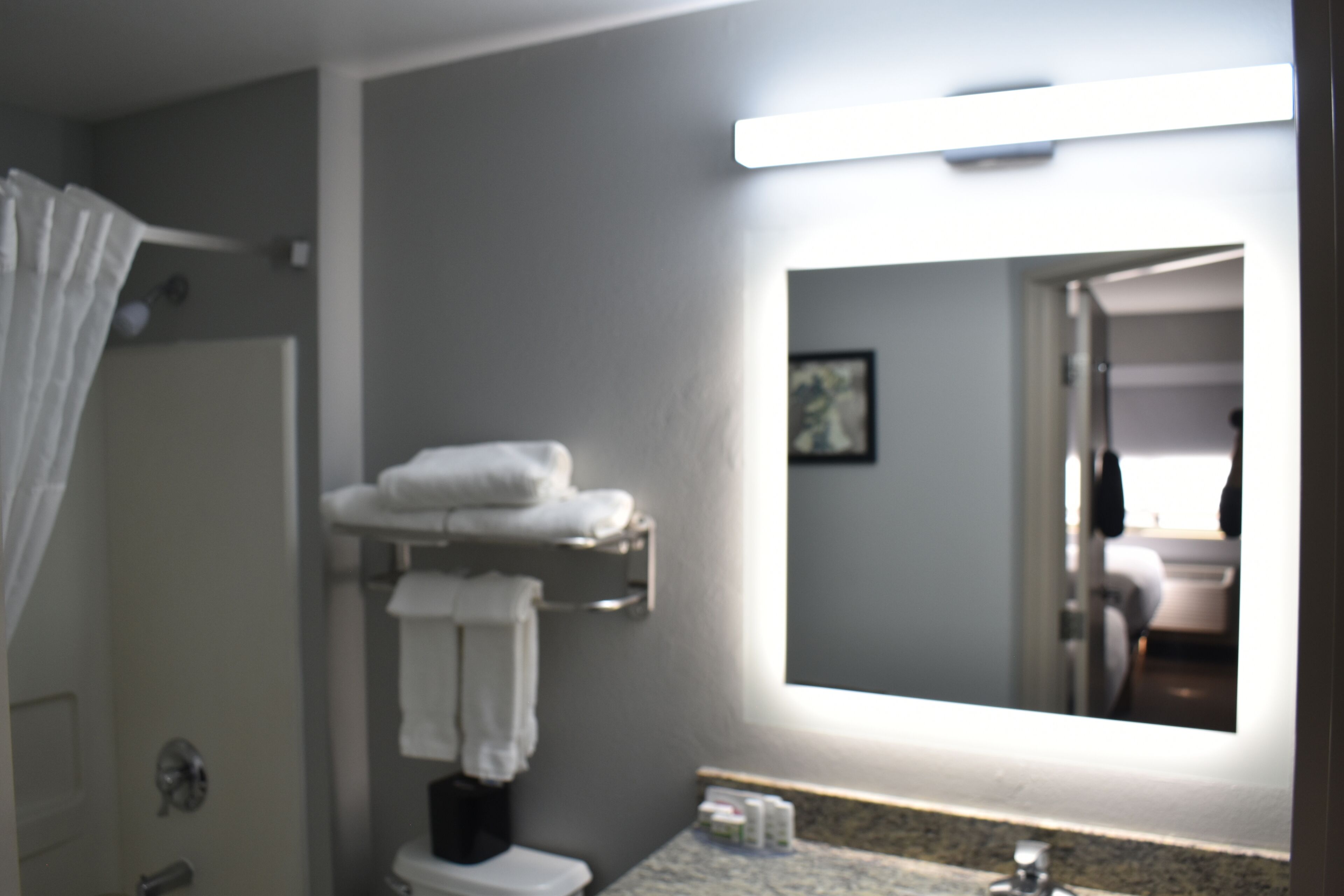 combined shower/bathtub, free toiletries, hair dryer, towels