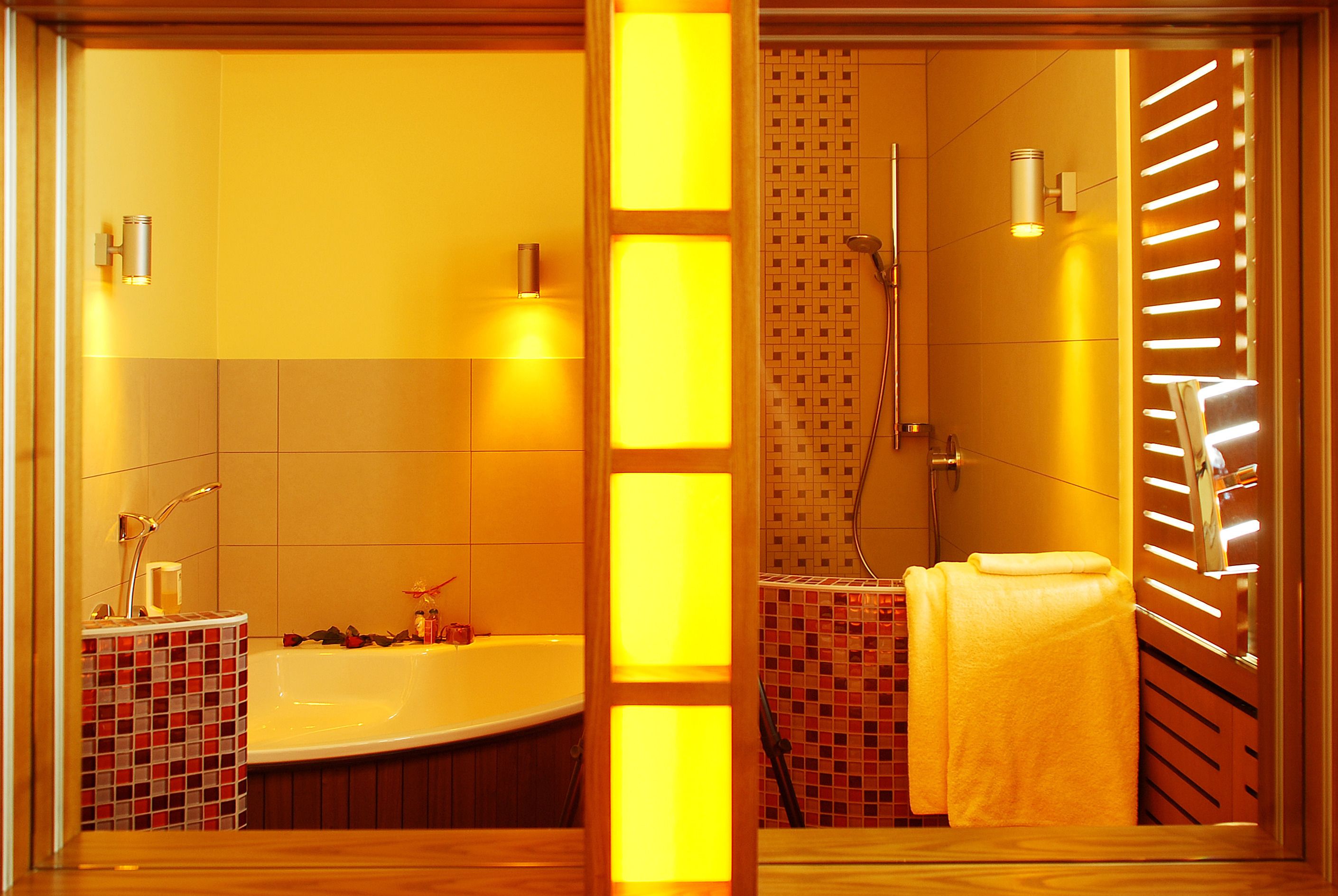 combined shower/bathtub, free toiletries, hair dryer, bathrobes