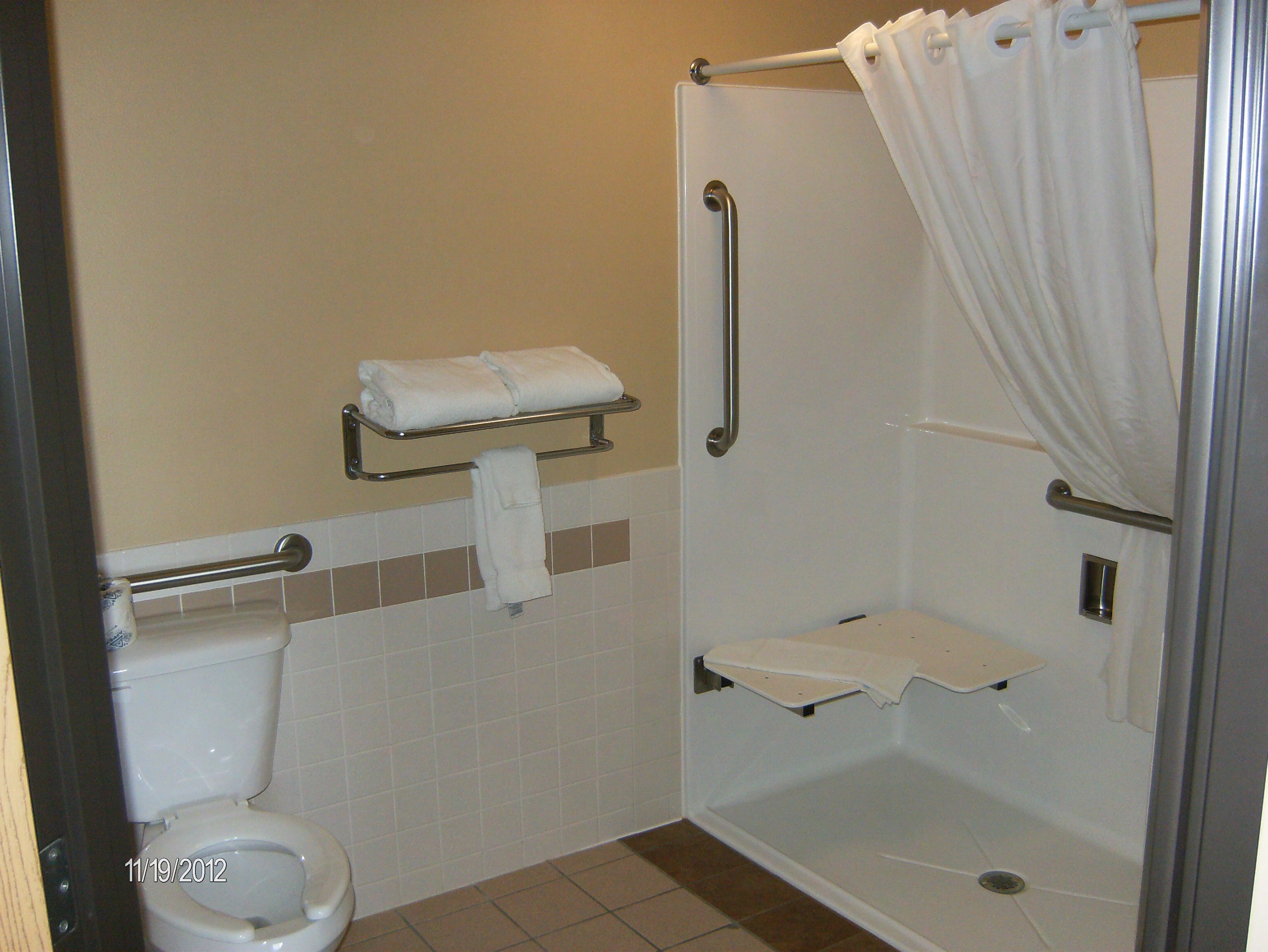 A bathroom with a shower, toilet, and towel rack.
