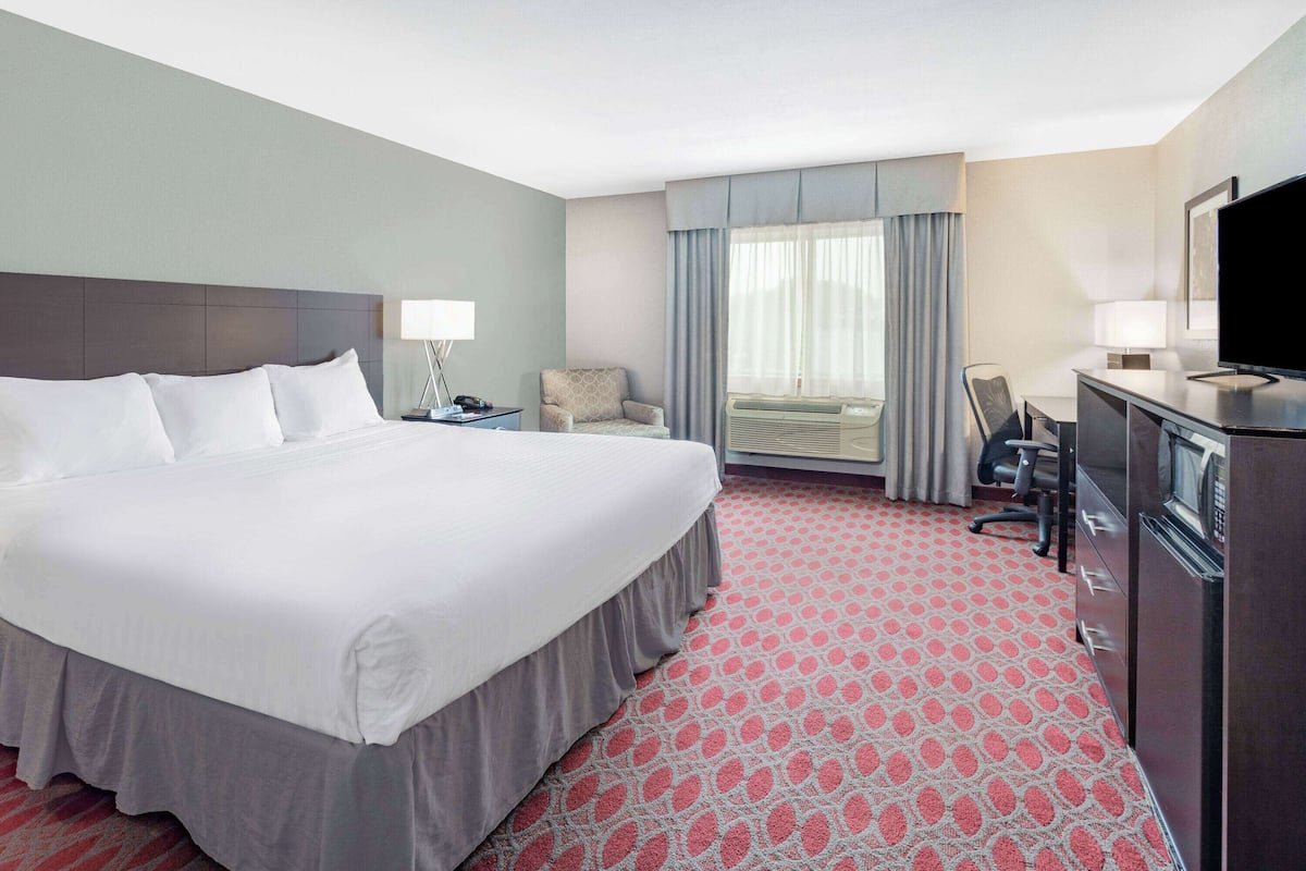 Room, 1 King Bed, Non Smoking