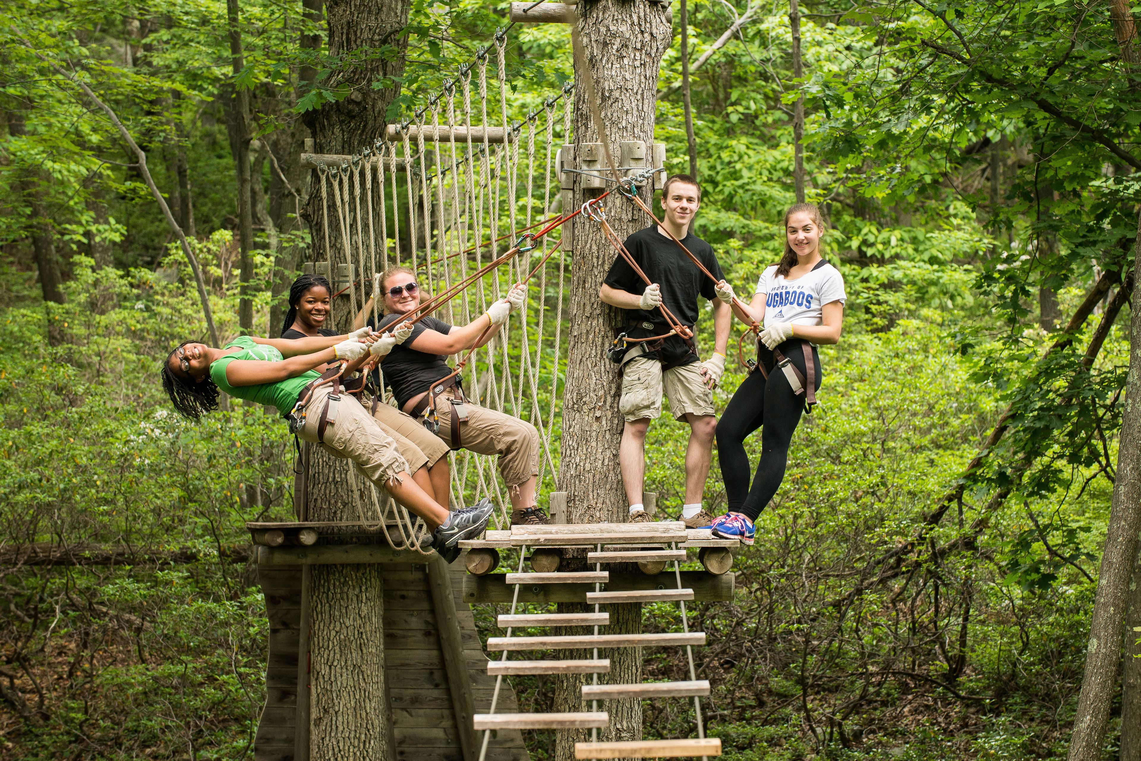 Un groupe de personnes se trouve sur une plateforme en bois, équipée de cordes et d’échelles, au milieu d’une forêt.