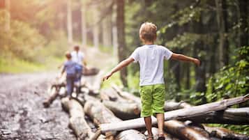 Un niño caminando sobre troncos en un bosque.