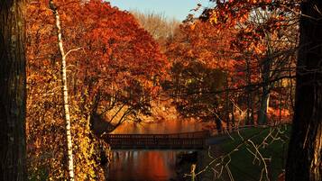A park with a bridge, trees with autumn foliage, and a body of water reflecting the trees.