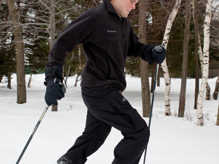 A person skiing in a snowy forest.