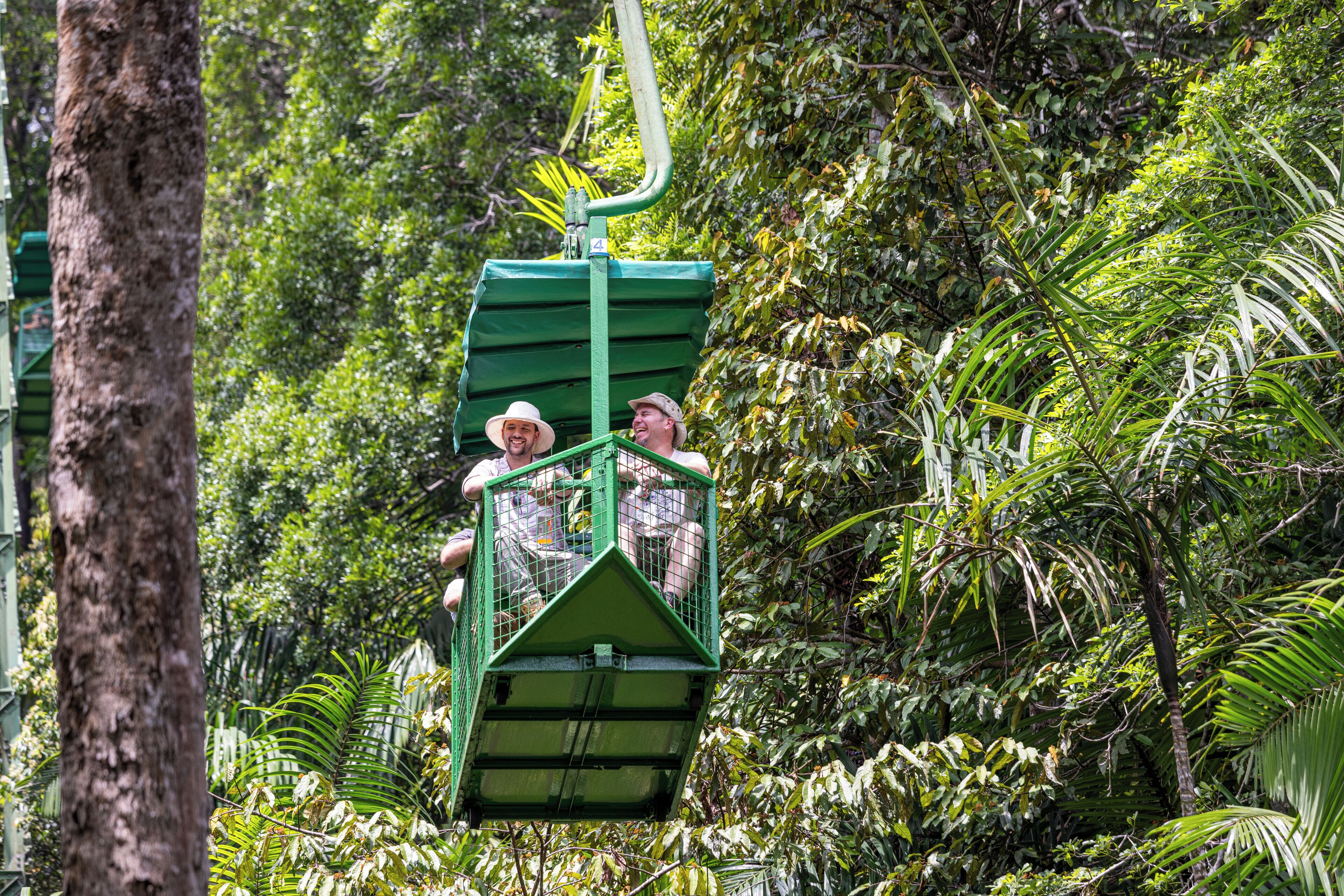 Un teleférico verde avanza entre un bosque denso.