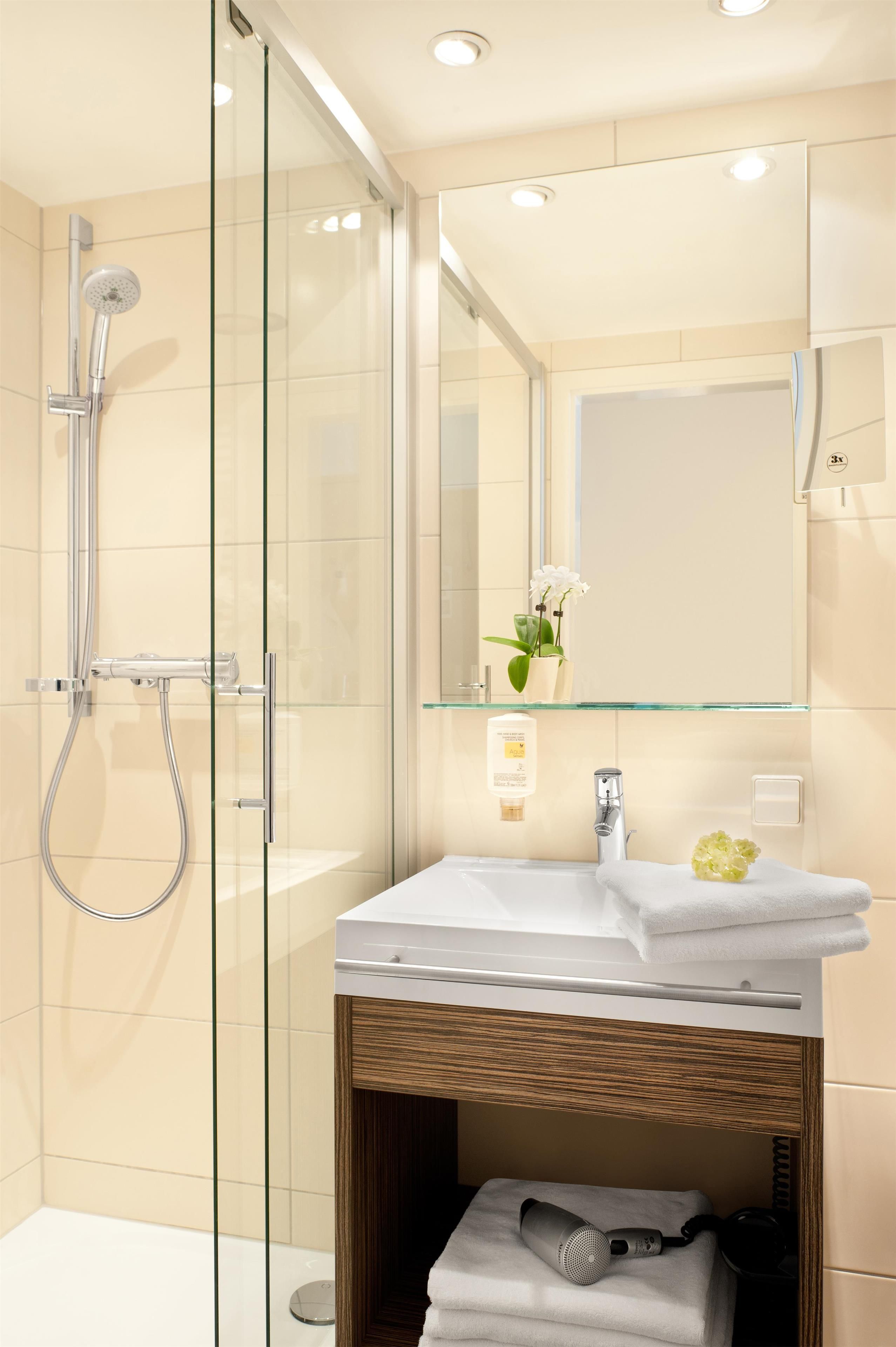 Ein modernes Badezimmer mit Duschkabine aus Glas, einem Waschtisch mit Spiegel und einer kleinen Ablage mit einem Blumentopf.