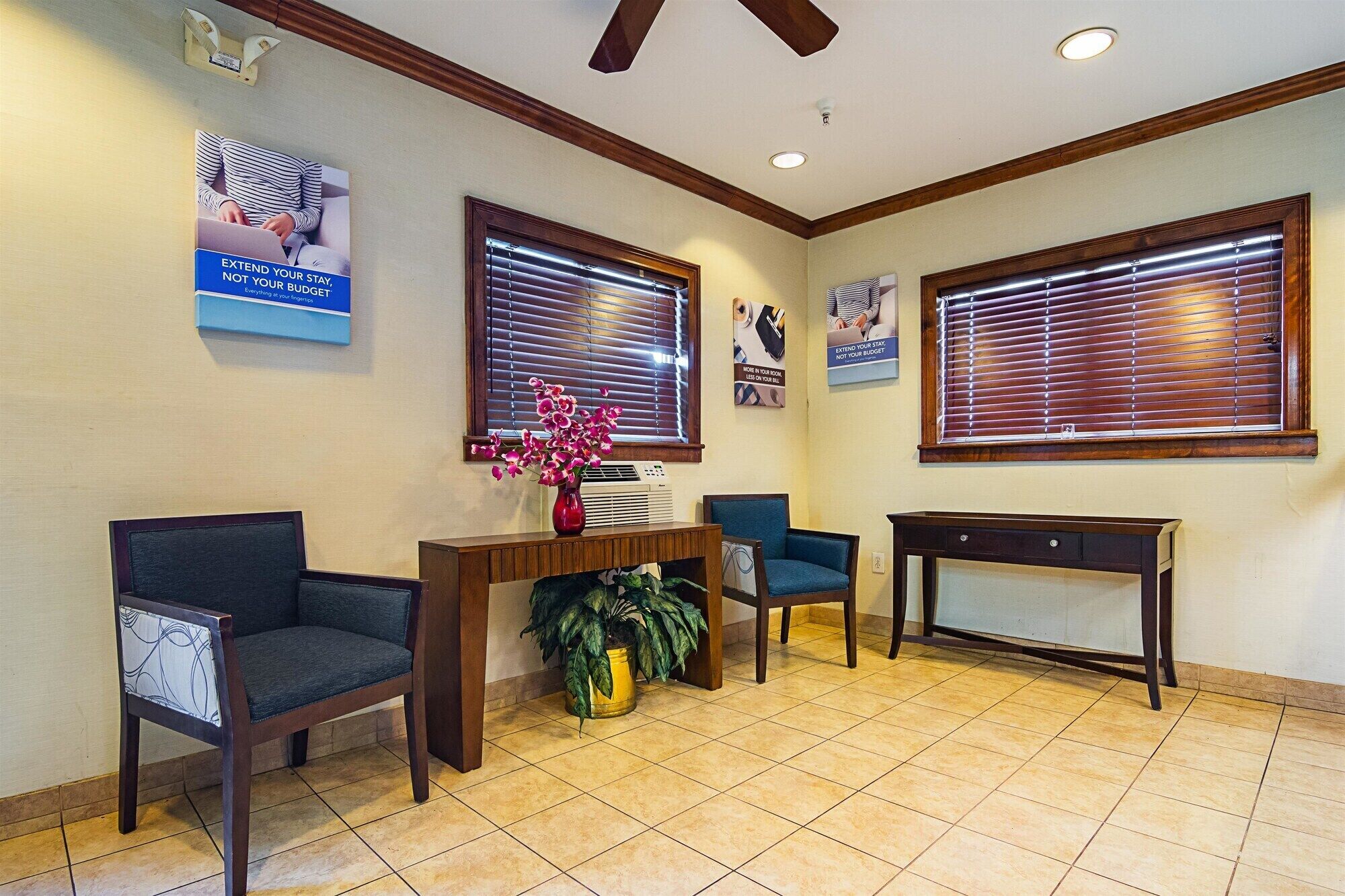 A reception area with two chairs, a small table with a vase of flowers, and a potted plant.