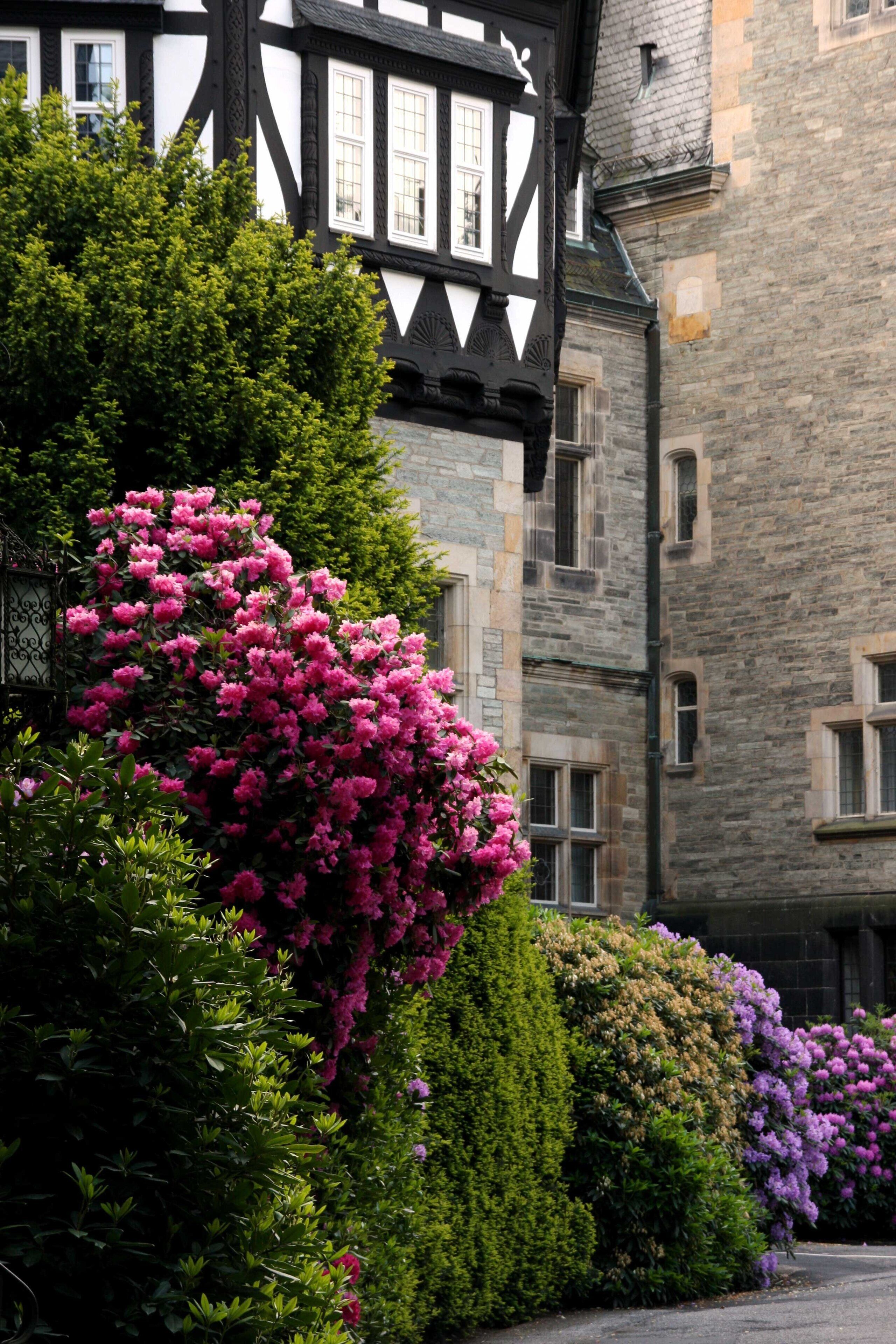 Foto - Schlosshotel Kronberg - Hotel Frankfurt