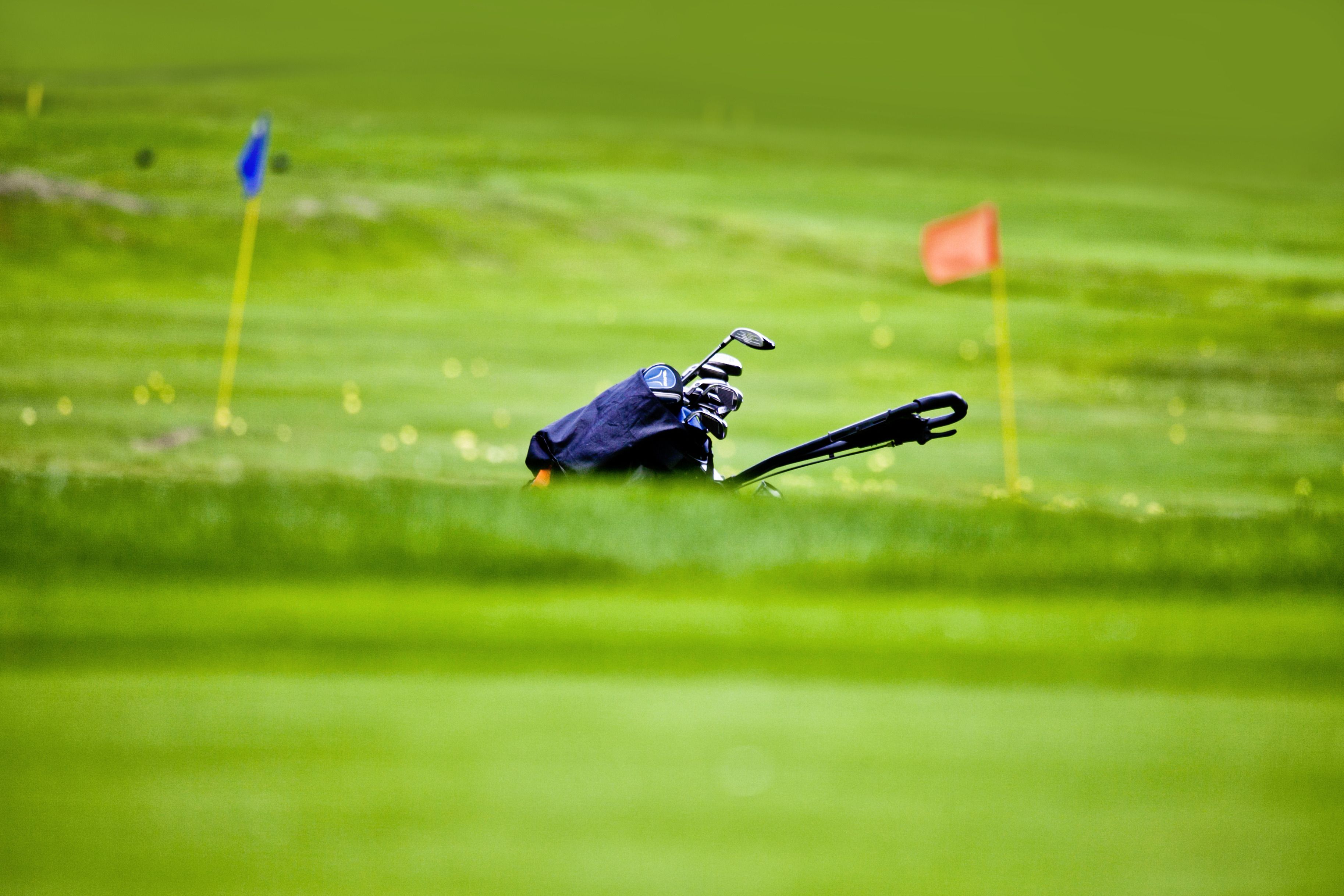 A golf course with a flagstick and a golf bag.