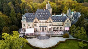 Un edificio grande e histórico con varias secciones y un patio central, rodeado de un bosque frondoso.