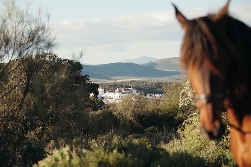 Finca la Bobadilla, Leading Hotels of the World