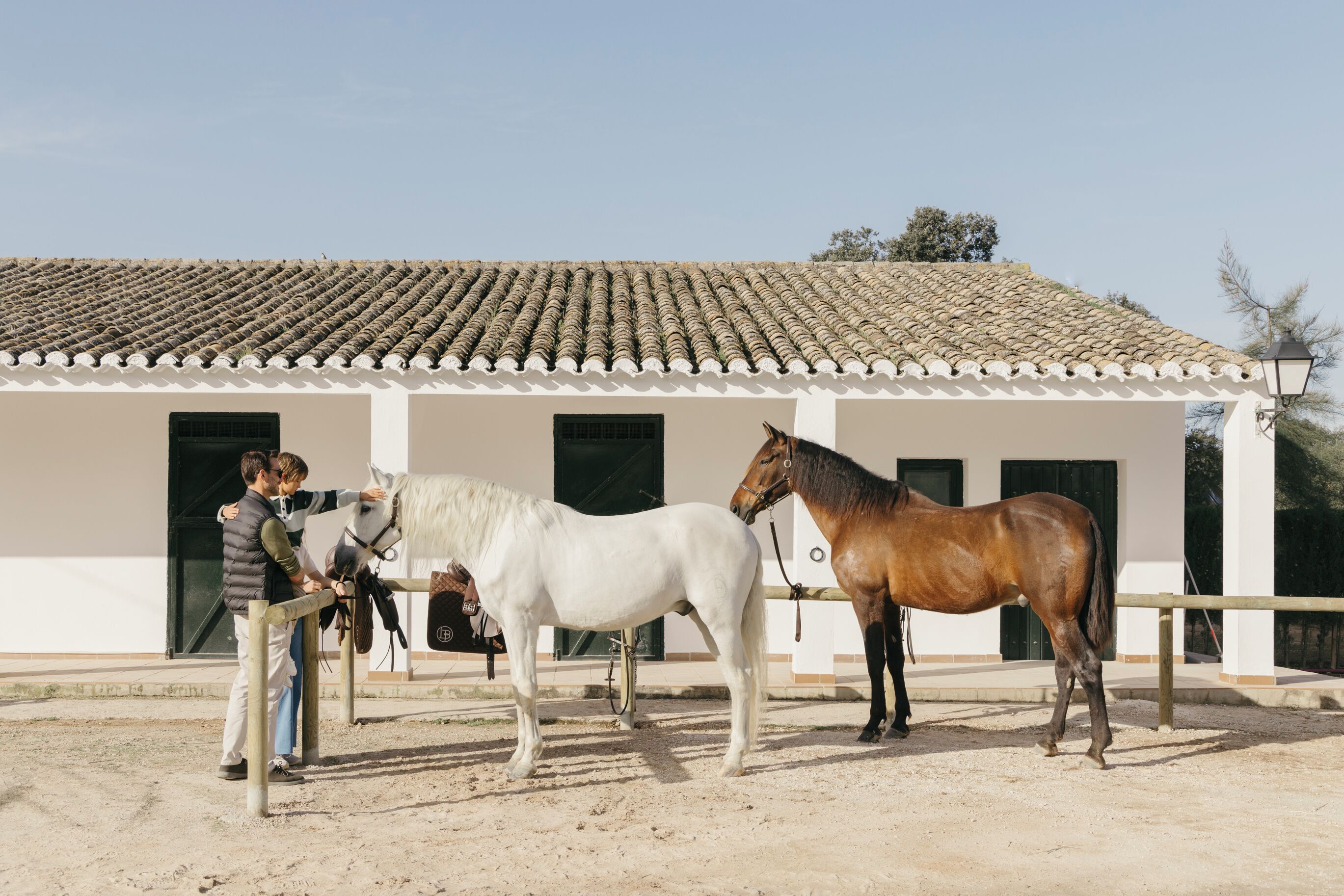 A stable with two horses, a white horse and a brown horse, and a person interacting with the white horse.