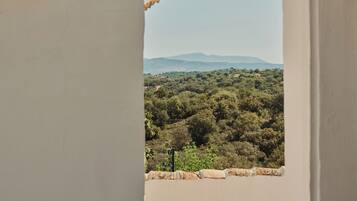 Vista a través de una ventana que da a un paisaje verde con árboles y montañas distantes, con una pared blanca y un tejado de tejas.
