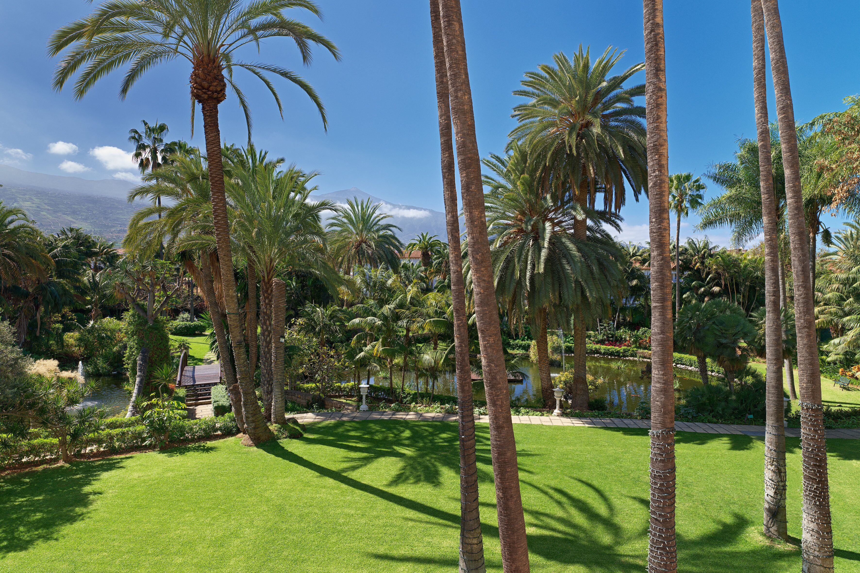 A lush garden with tall palm trees and a well-maintained lawn.