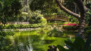 A tranquil garden with a pond, a wooden bridge, and lush greenery.
