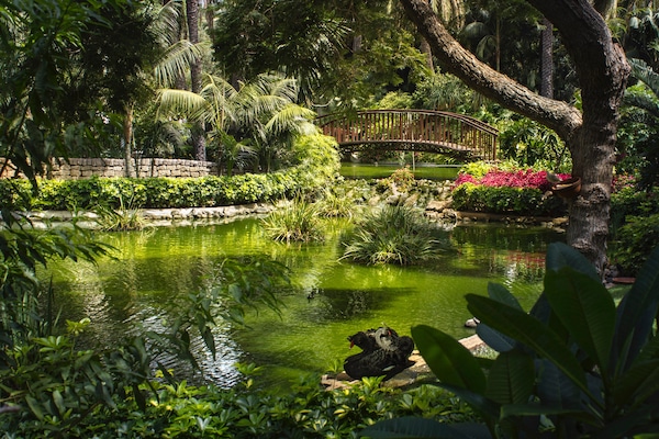 Jardín