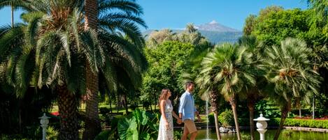 A couple walking on a pathway in a lush garden with palm trees and a pond.