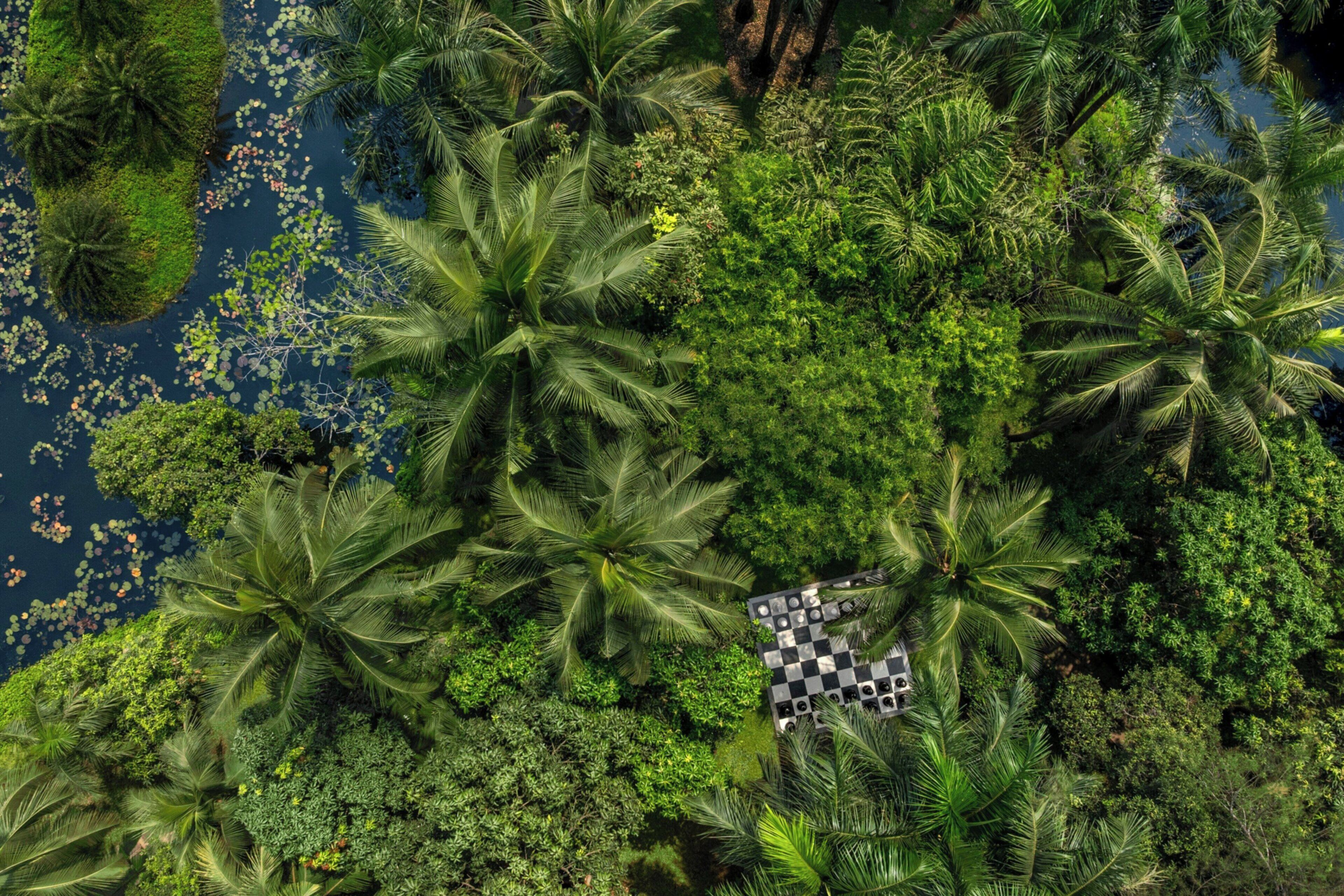 Pemandangan dari hartanah