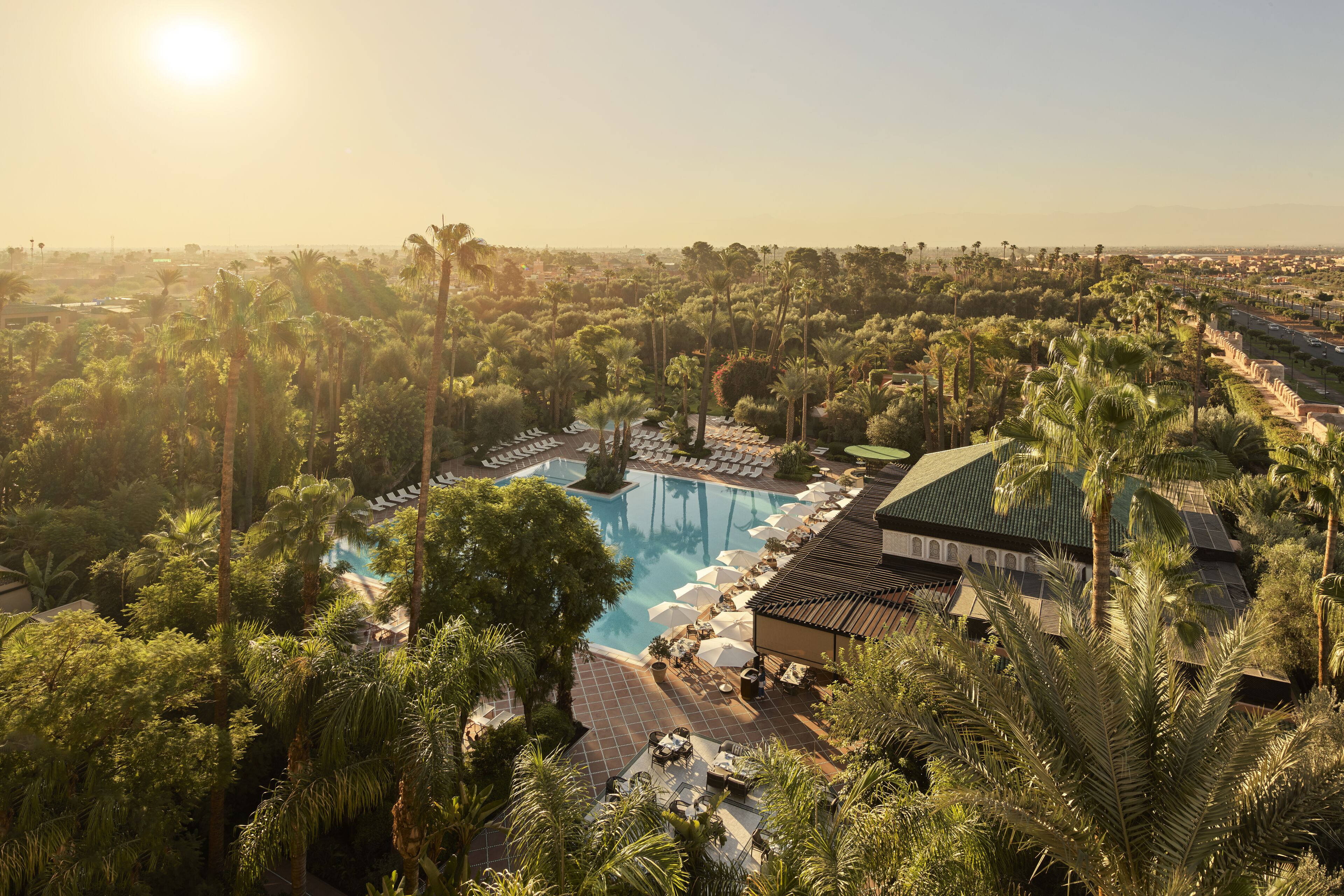 A resort with a swimming pool surrounded by palm trees and lounge chairs.