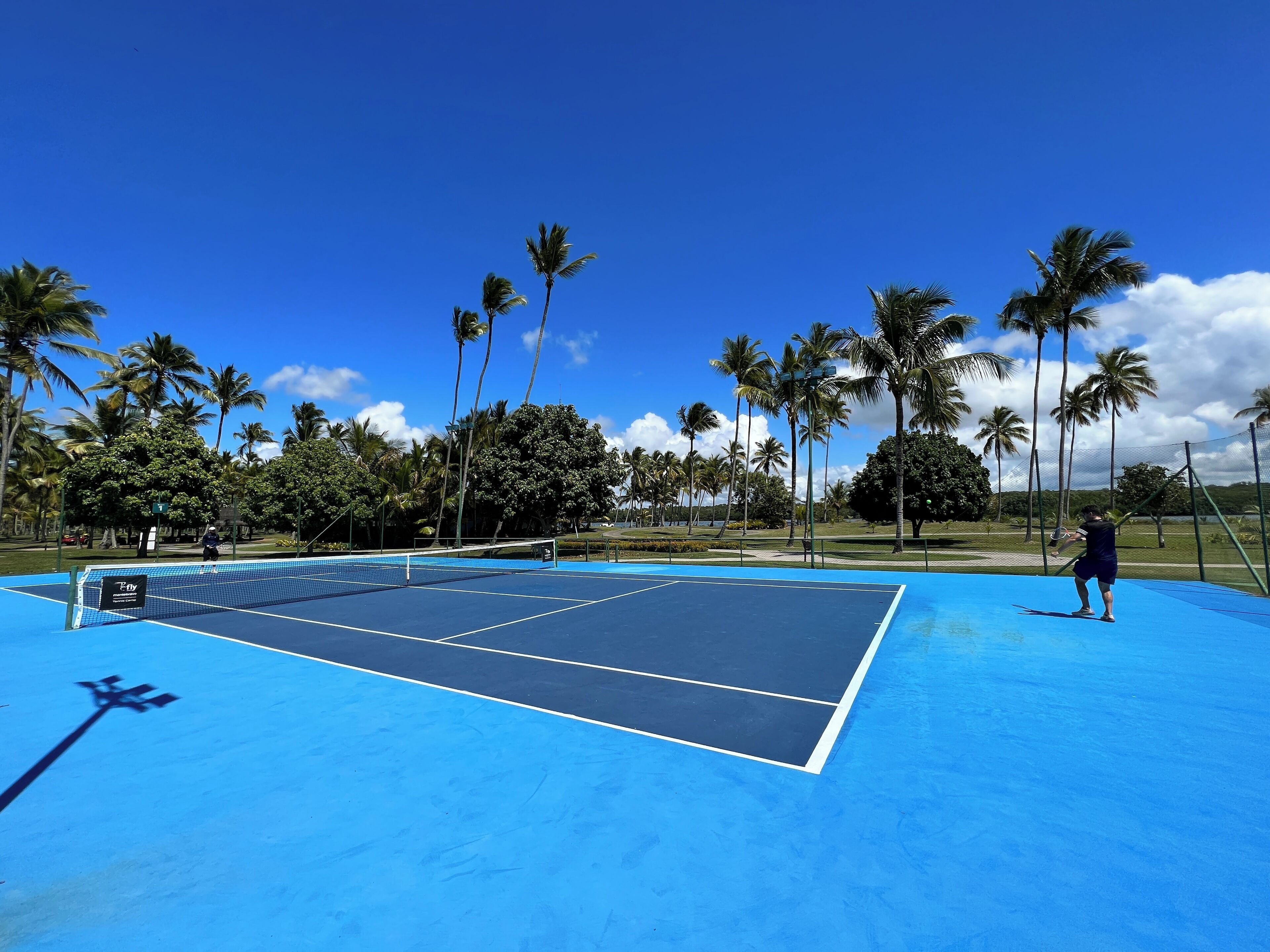 A tennis court with a net, surrounded by palm trees and a clear blue sky.