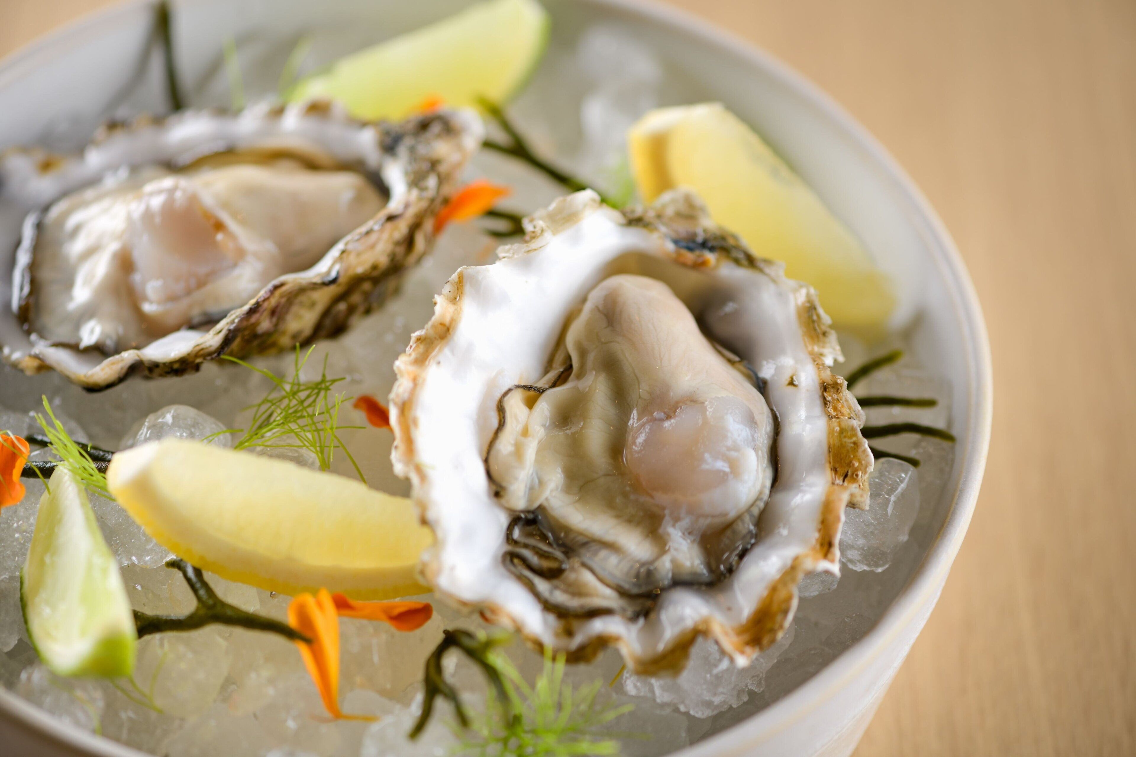 A plate of oysters on ice with garnishes.