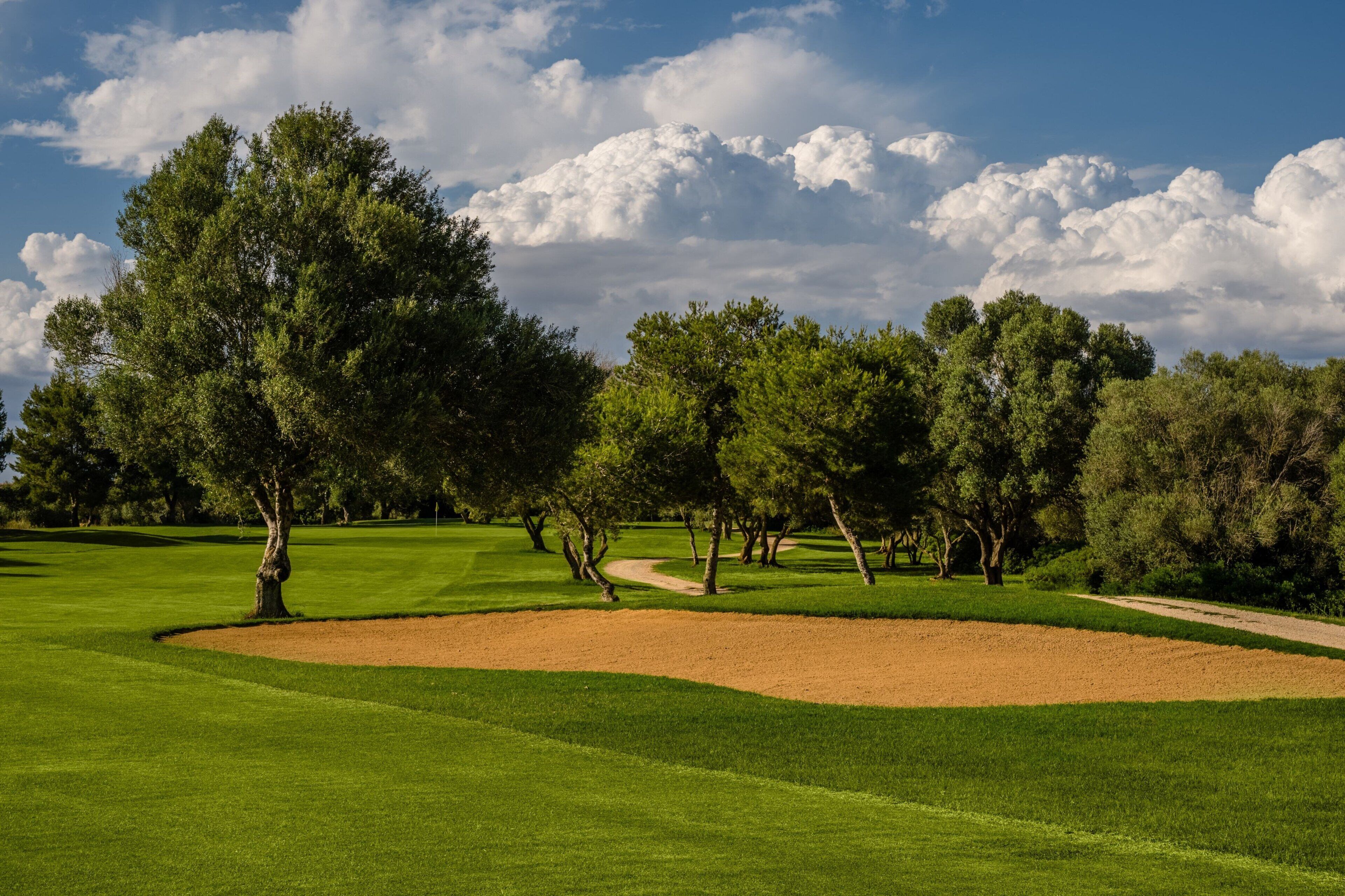 Un campo de golf con un sendero despejado, árboles y una zona arenosa.