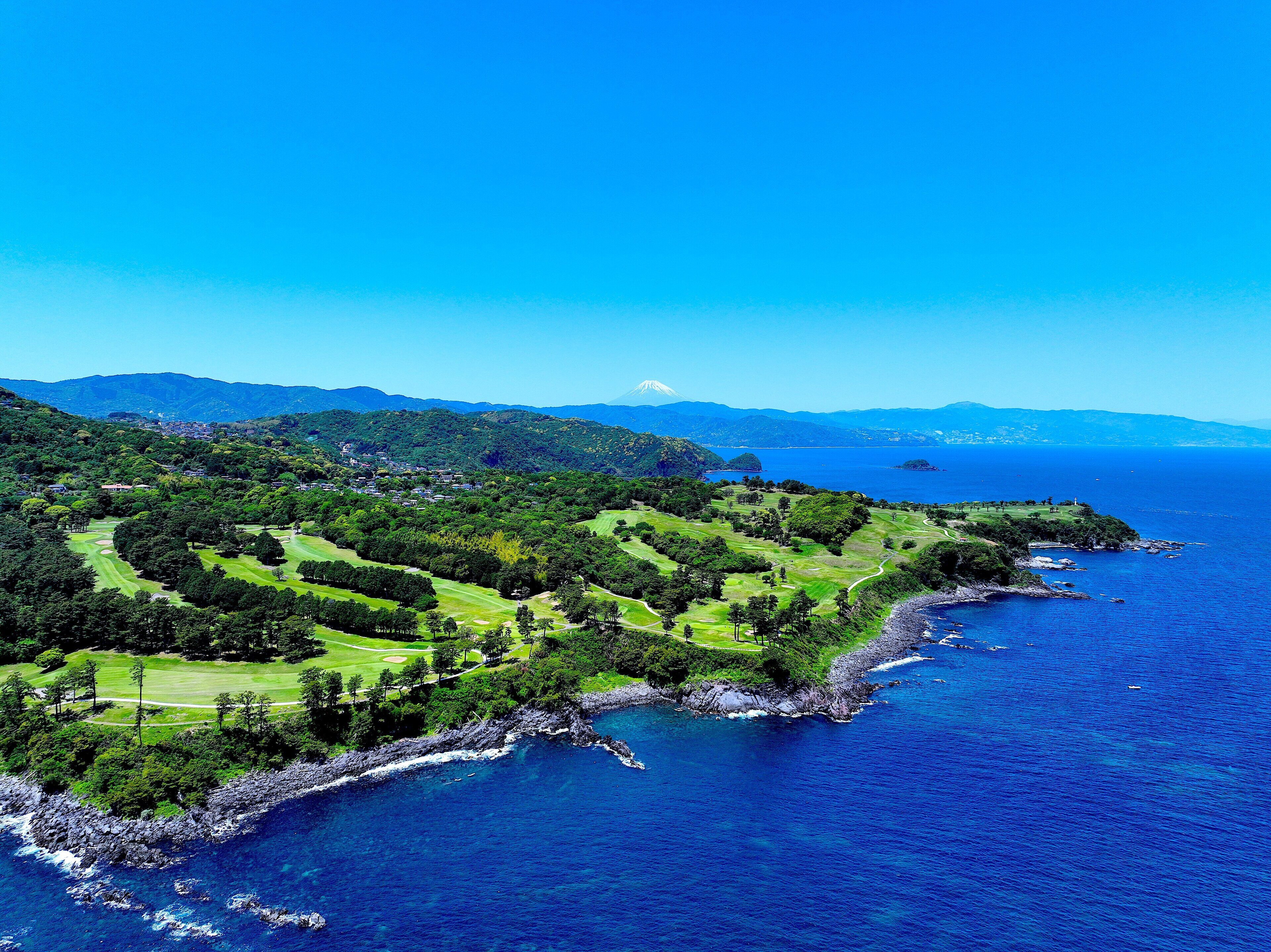 A coastal golf course with lush greenery and a view of the ocean.