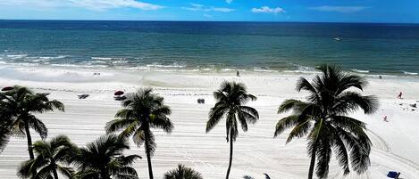 A beach with palm trees and a clear blue sky.