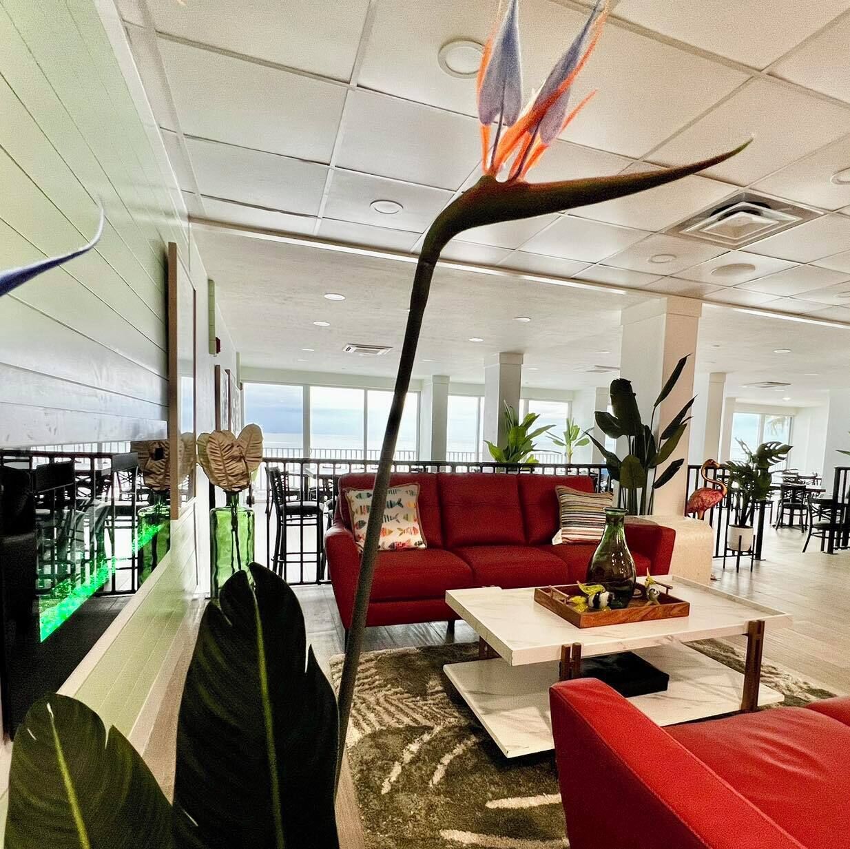 Un hall d’entrée spacieux, avec un canapé rouge, une table basse et une grande plante.