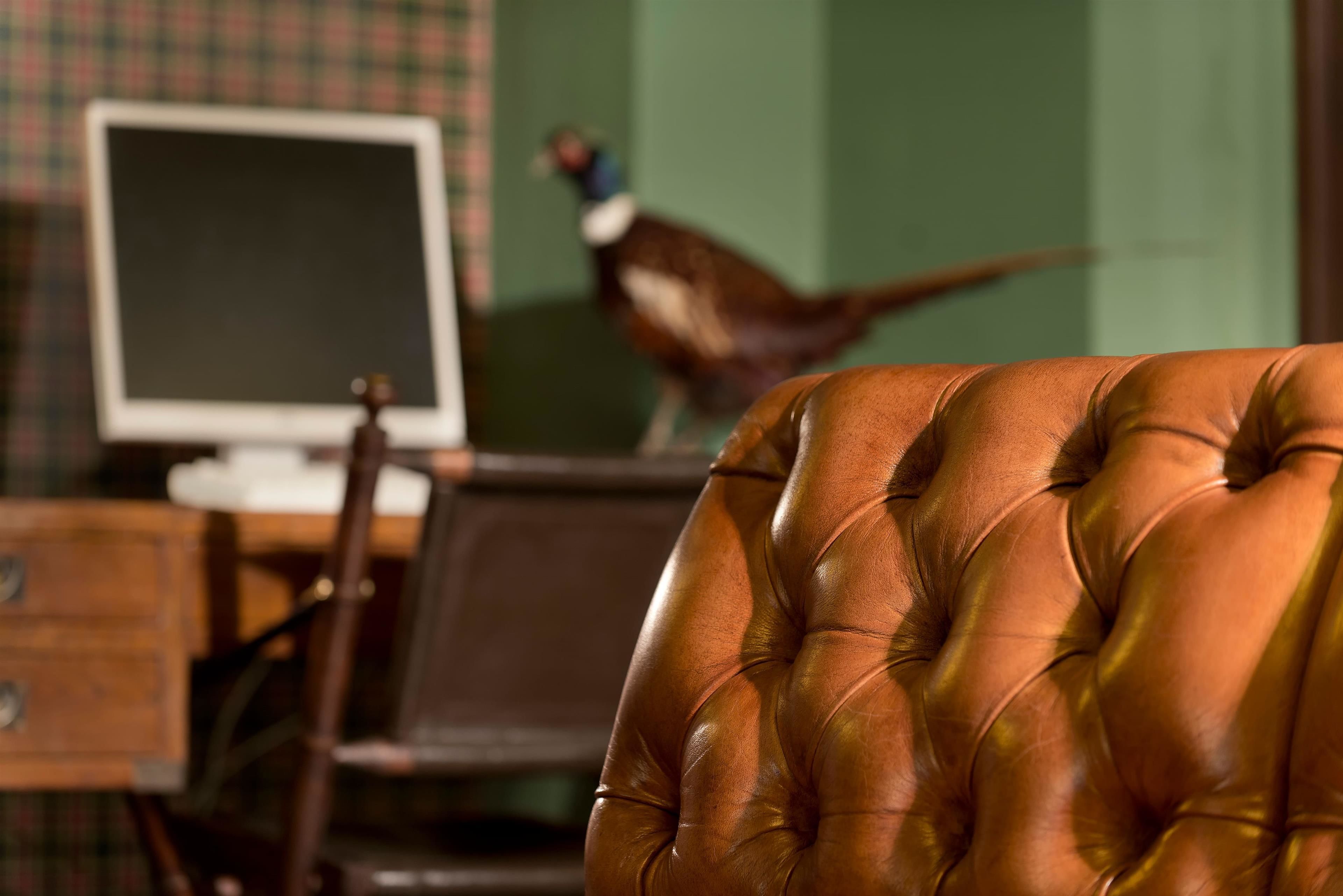 A chair with a high back and tufted design, a wooden desk with a computer monitor, and a bird in the background.