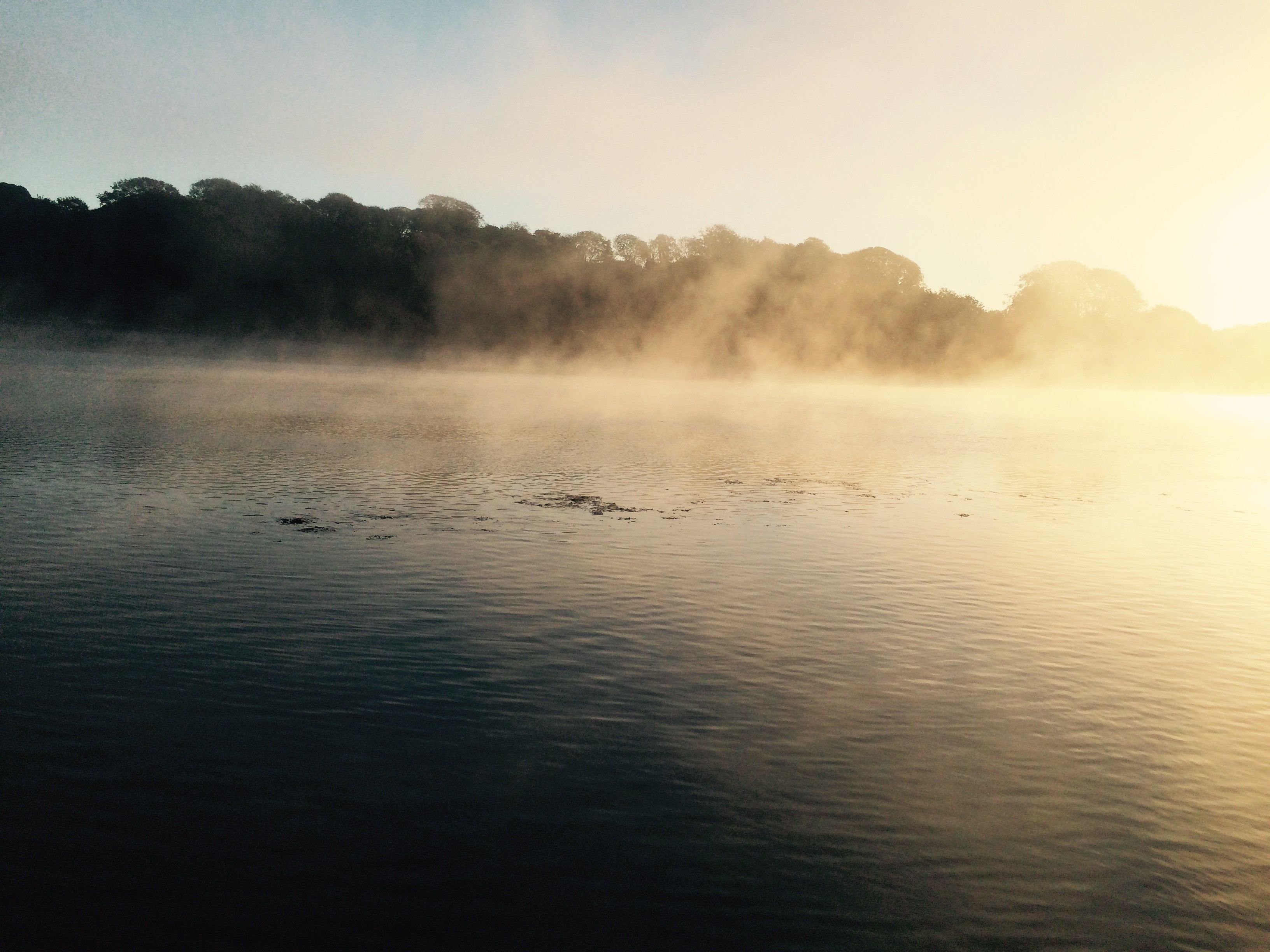 A calm body of water with a misty forest in the background.