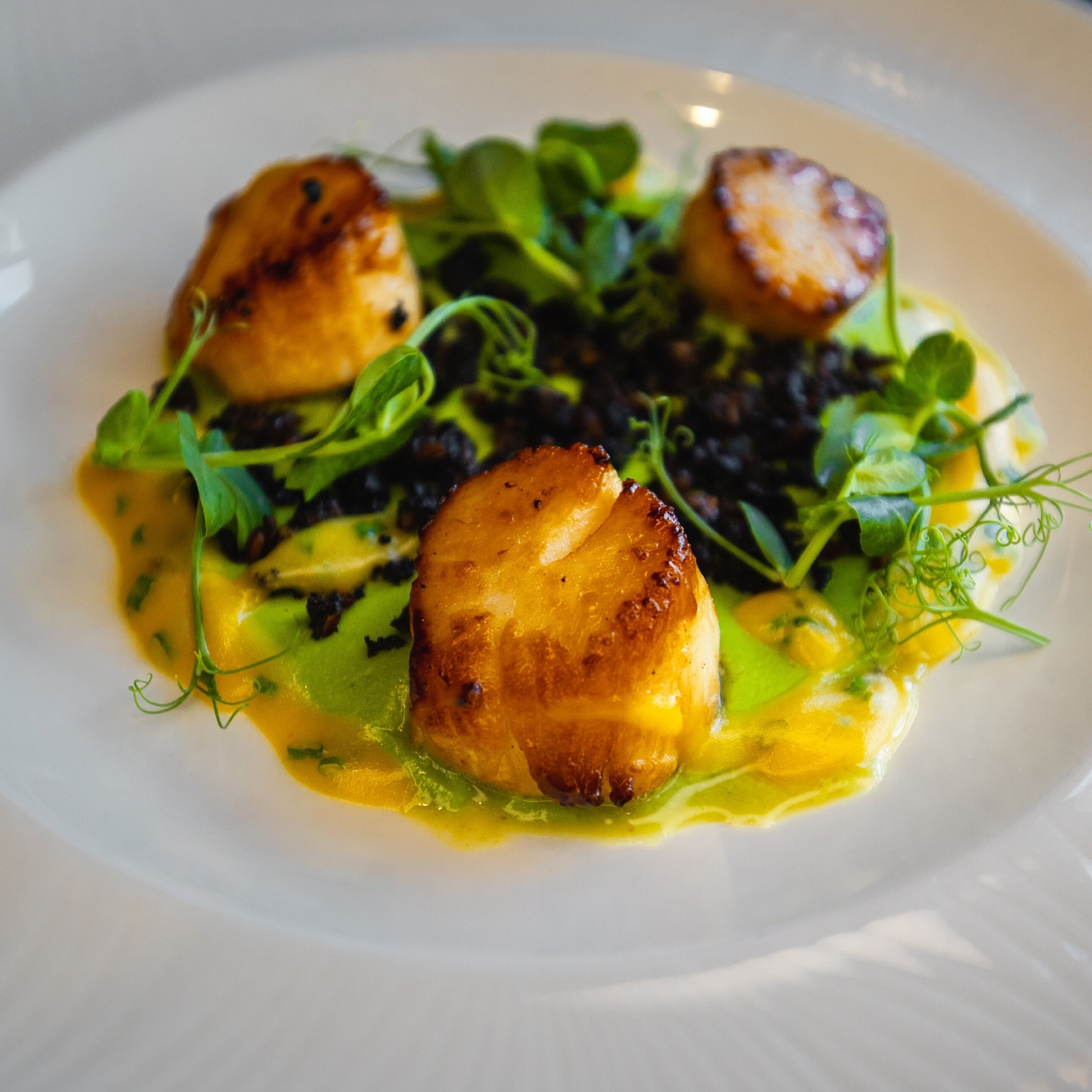 A plate of food with seared scallops, greens, and a yellow sauce.