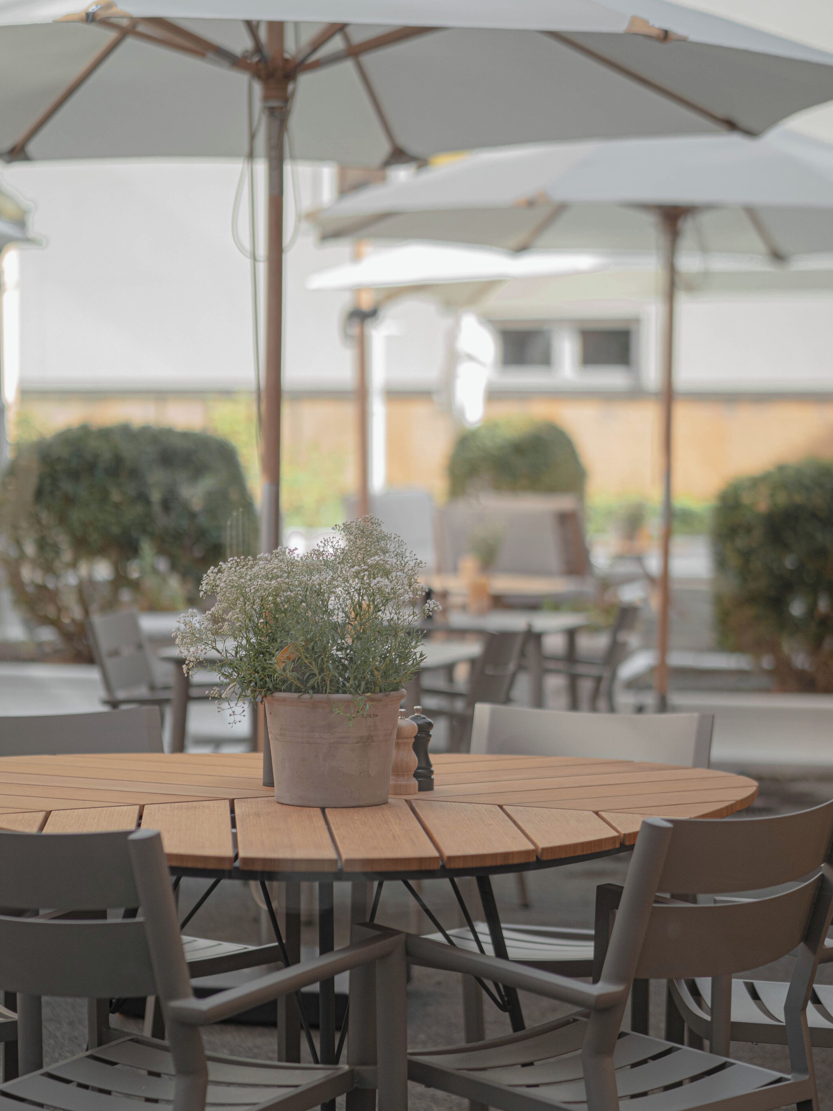 Un espace extérieur aménagé avec des tables et des chaises rondes, protégé par des parasols, et une plante en pot posée sur l’une des tables.