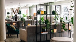 Ein modernes Wohnzimmer mit einem Ecksofa, einem grünen Sessel, einem Glastisch und einer schwarzen Regaleinrichtung mit Pflanzen und Kerzen.