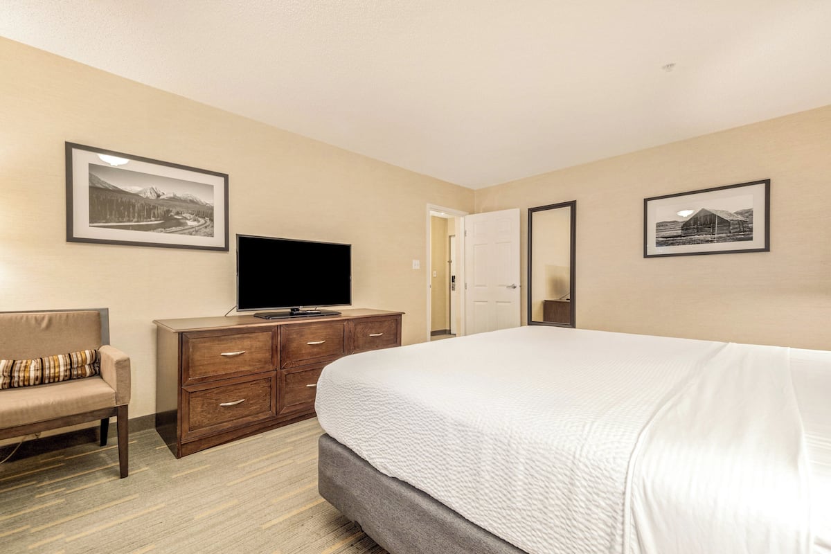 Suite, 1 King Bed with Sofa bed, Accessible, Pool View (Jetted Tub) | 1 bedroom, premium bedding, pillow-top beds, individually decorated