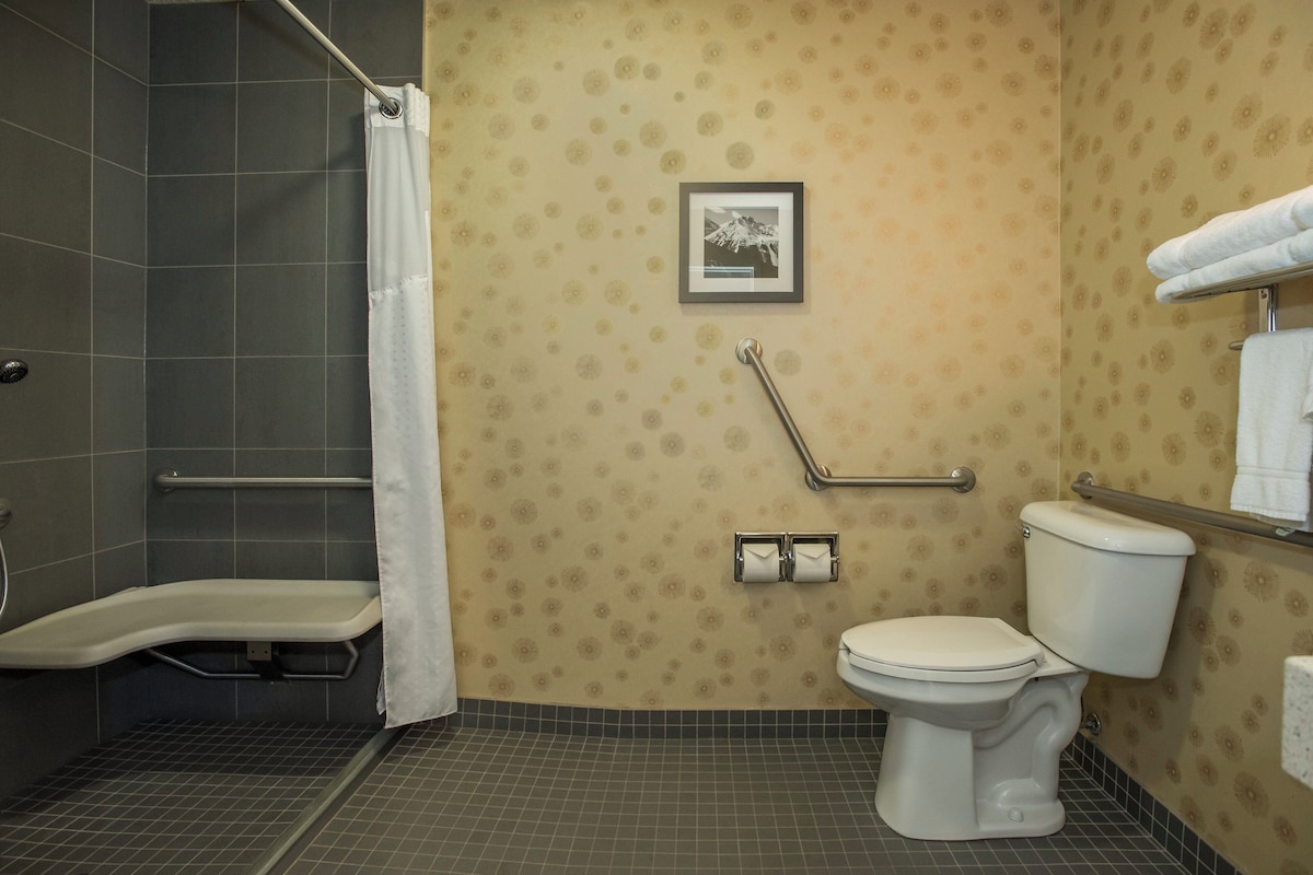 Standard Room, 1 Queen Bed, Accessible (Roll-In Shower)