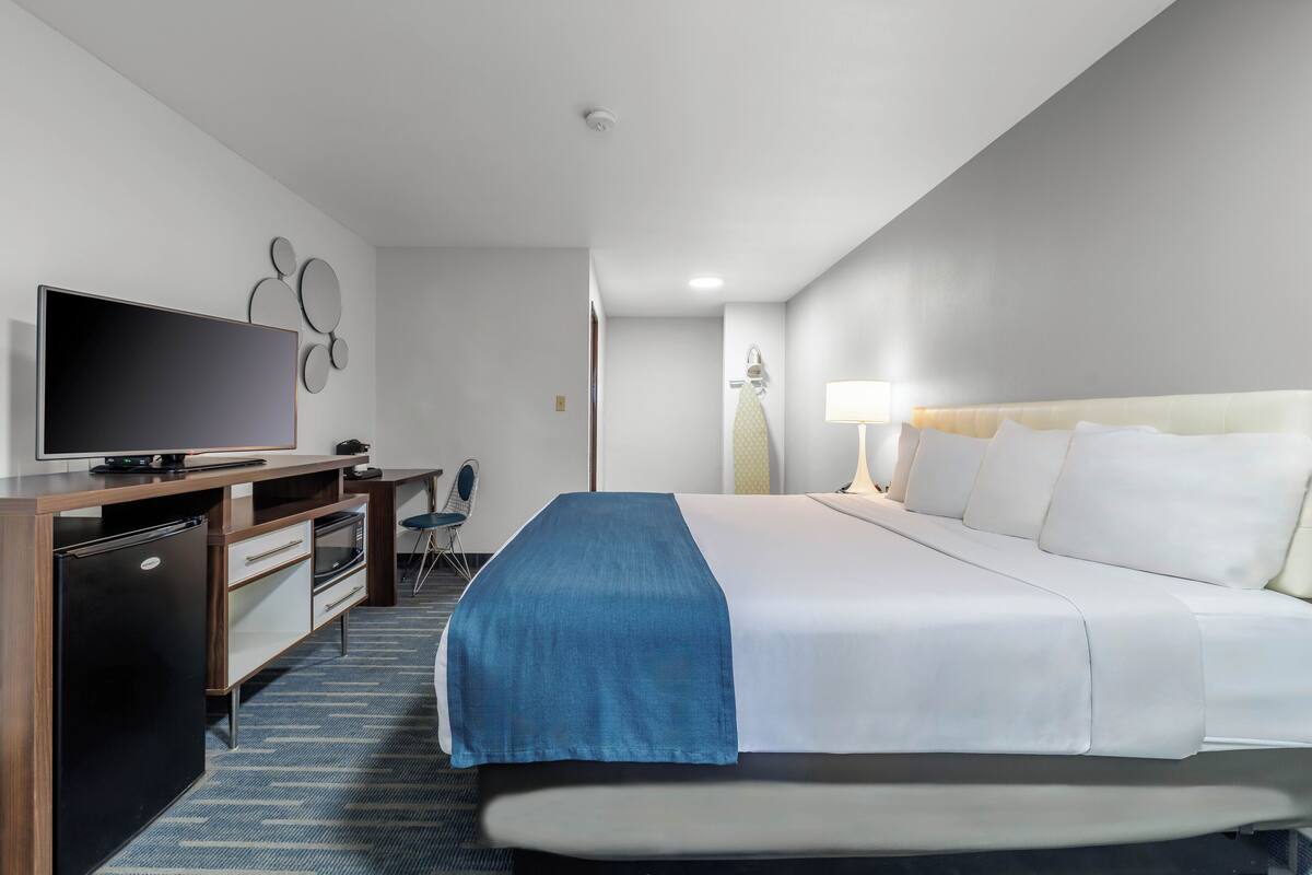 A hotel room with a bed, a desk with a television, a chair, and a lamp.