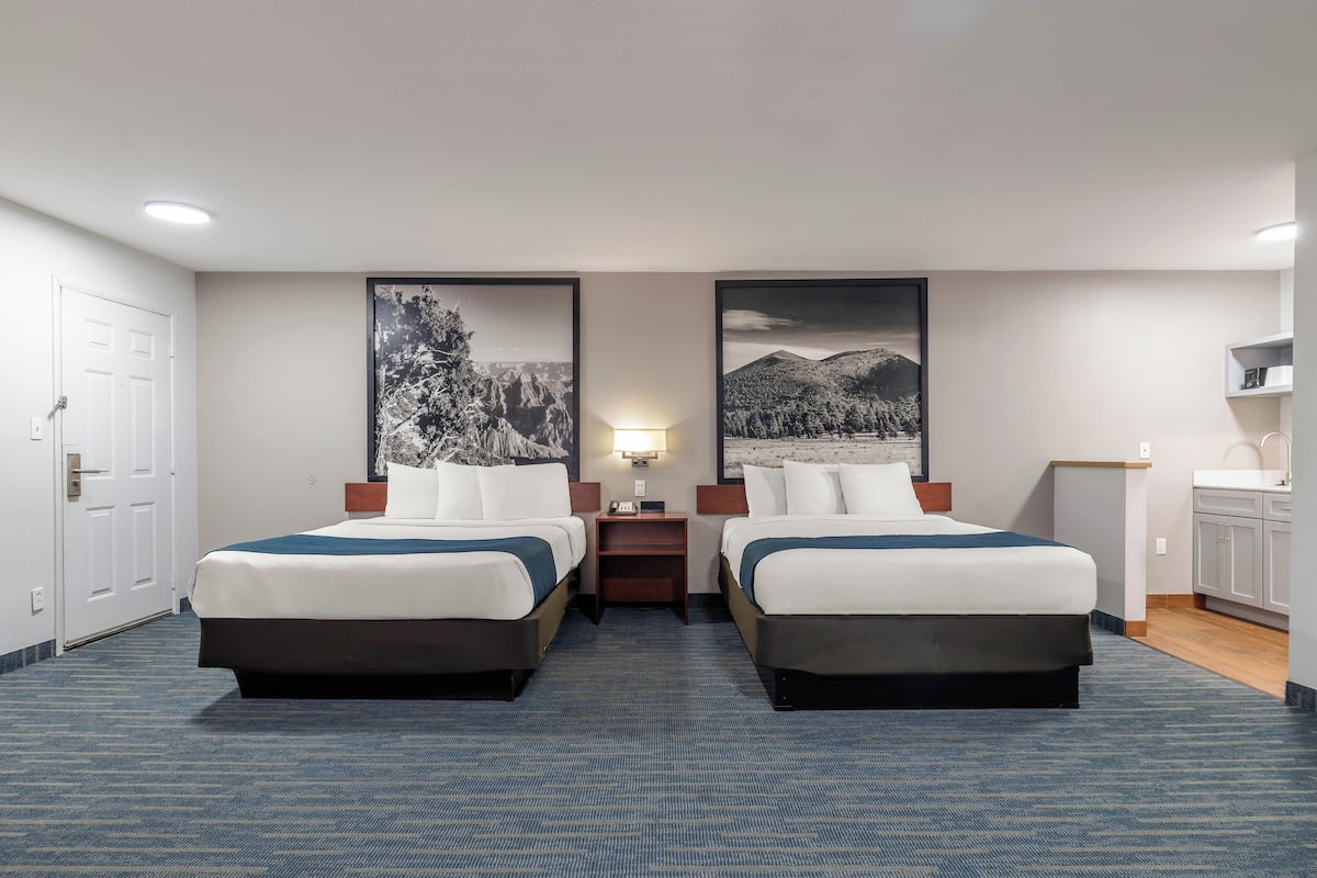 Suite, Multiple Beds, Non Smoking (Efficiency) | Premium bedding, desk, laptop workspace, blackout drapes