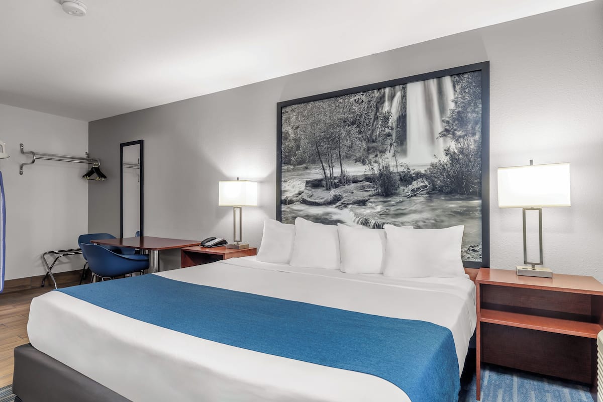 Suite, 1 King Bed, Hearing Accessible, Non Smoking (Yes) | Premium bedding, desk, laptop workspace, blackout drapes