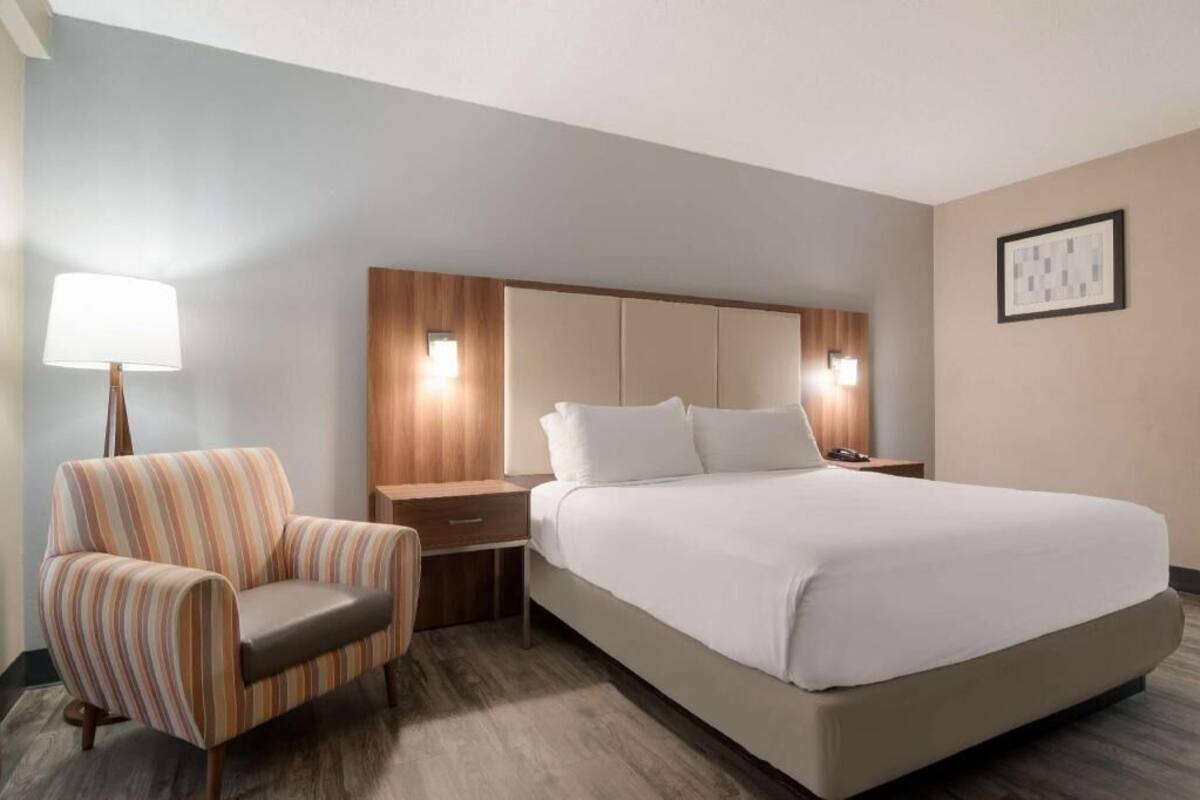 Ein Hotelzimmer mit einem großen Bett, einem gestreiften Sessel, einem Nachttisch und einer Lampe.