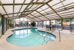 Una piscina interior con techo de cristal, rodeada de sillones de descanso y vistas al exterior.