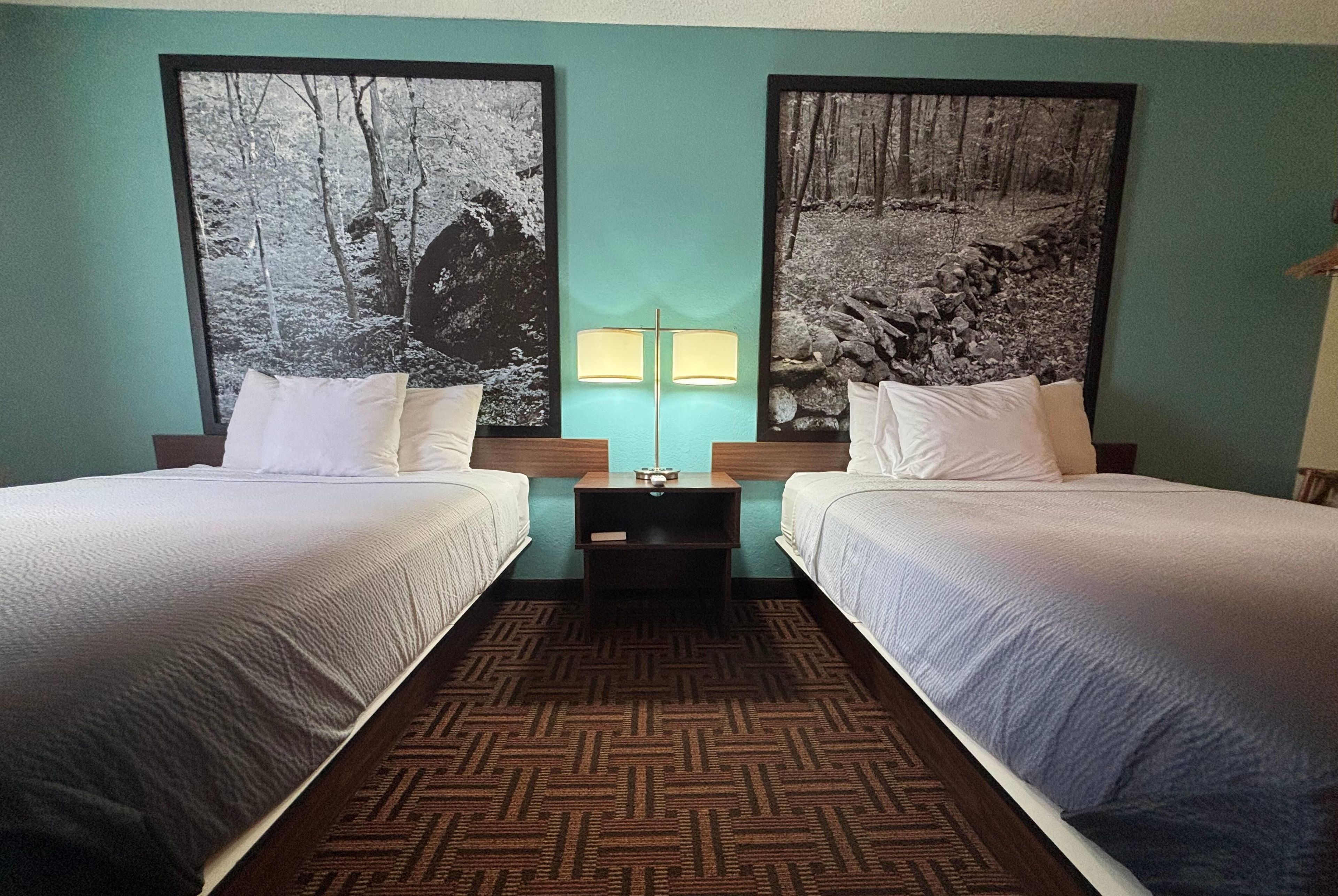 A hotel room with two beds, a nightstand with a lamp, and two large black-and-white forest-themed paintings on the walls.