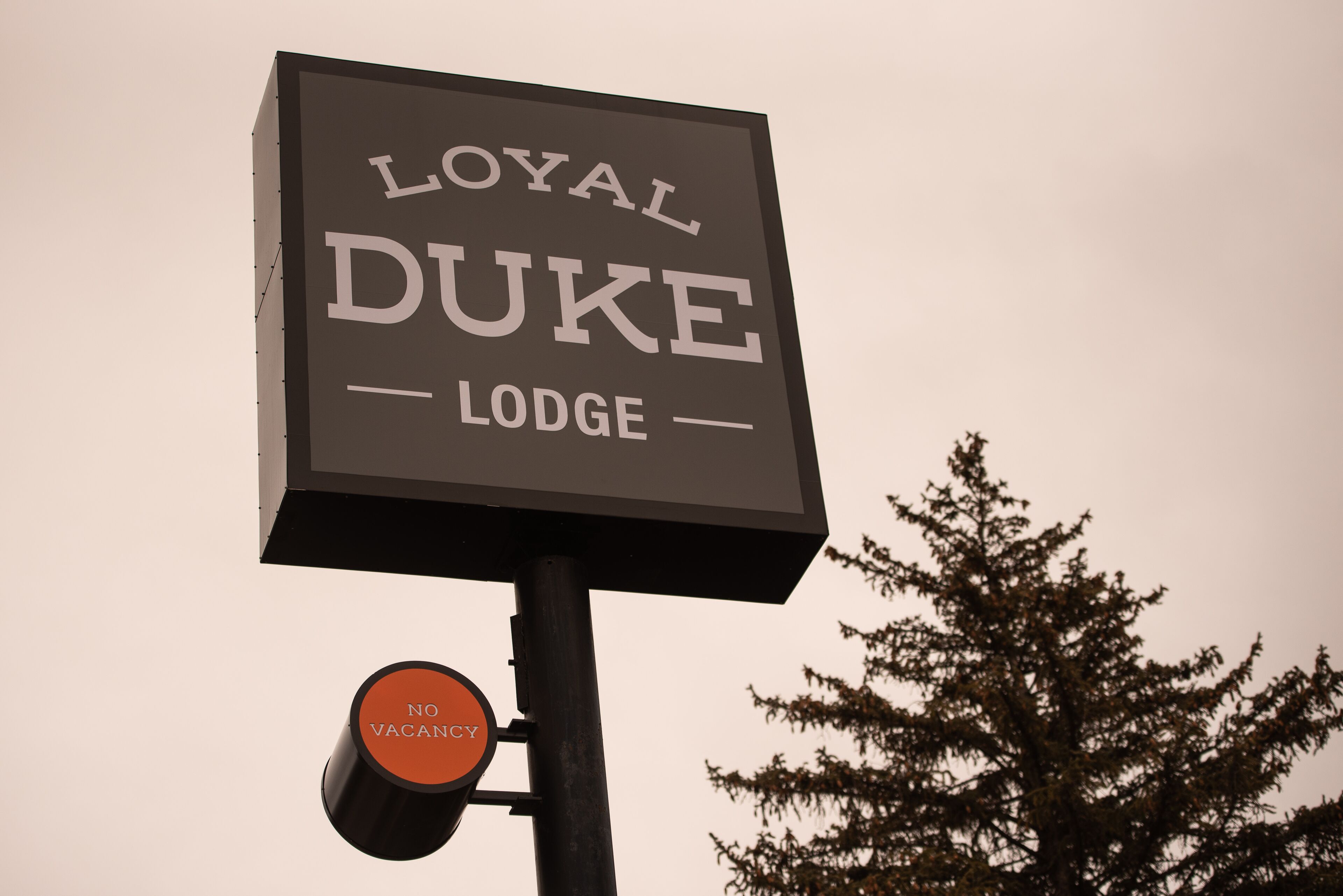 Foto - Loyal Duke Lodge