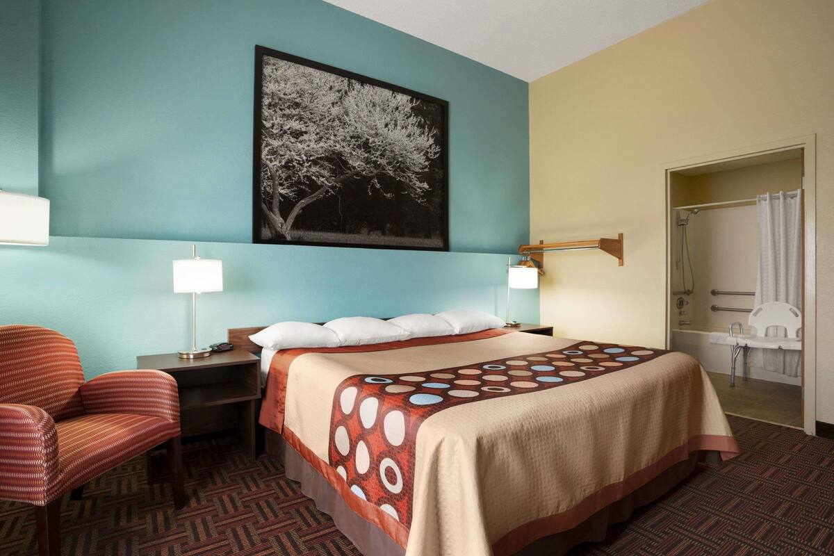 Habitación de hotel con cama, una silla, mesita de noche, lámpara, baño con ducha y una fotografía grande de un árbol en la pared.