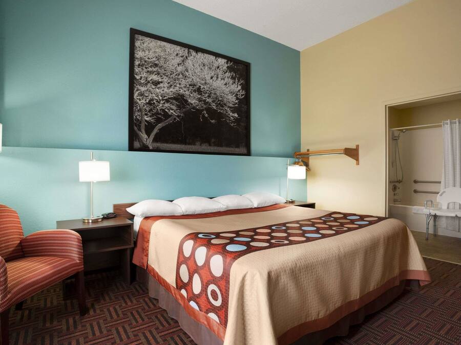 Habitación de hotel con cama, una silla, mesita de noche, lámpara, baño con ducha y una fotografía grande de un árbol en la pared.